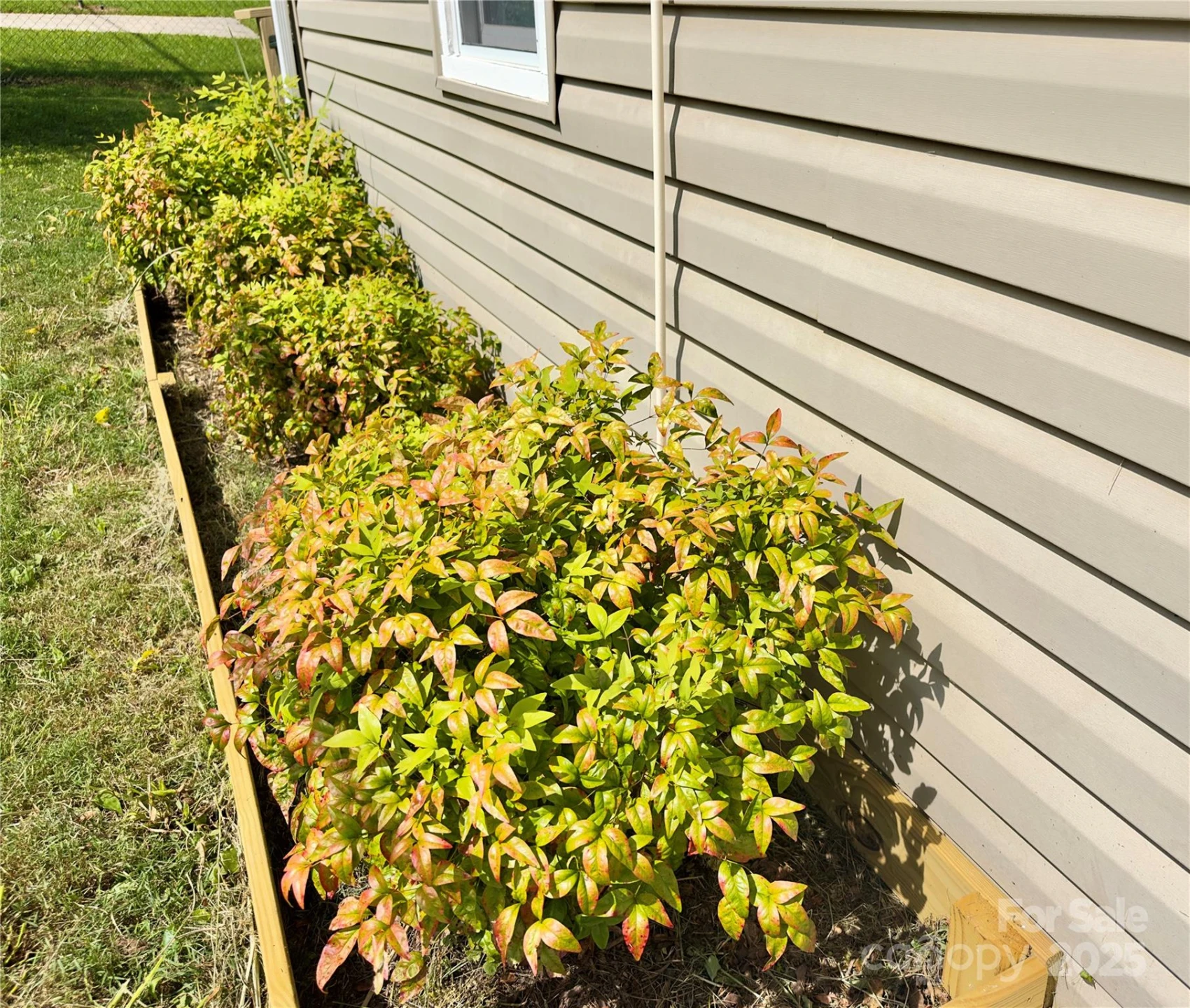 329 Morehead Road - Photo 20