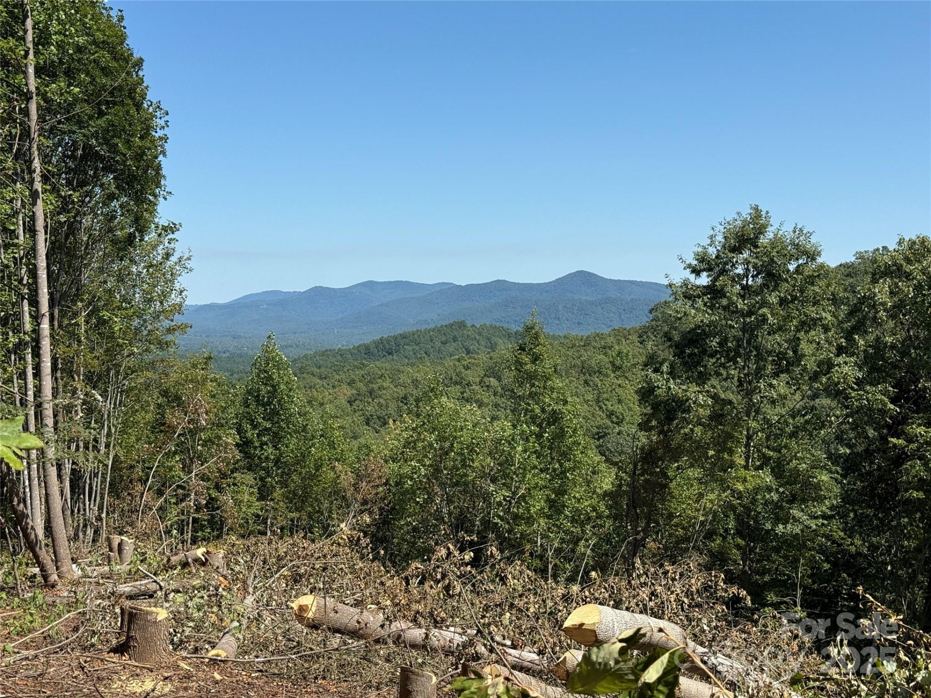 1187 Grandview Peaks Drive #187 - Photo 2