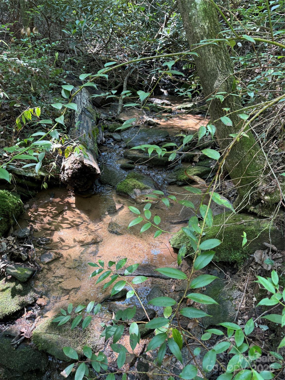 1187 Grandview Peaks Drive #187 - Photo 12