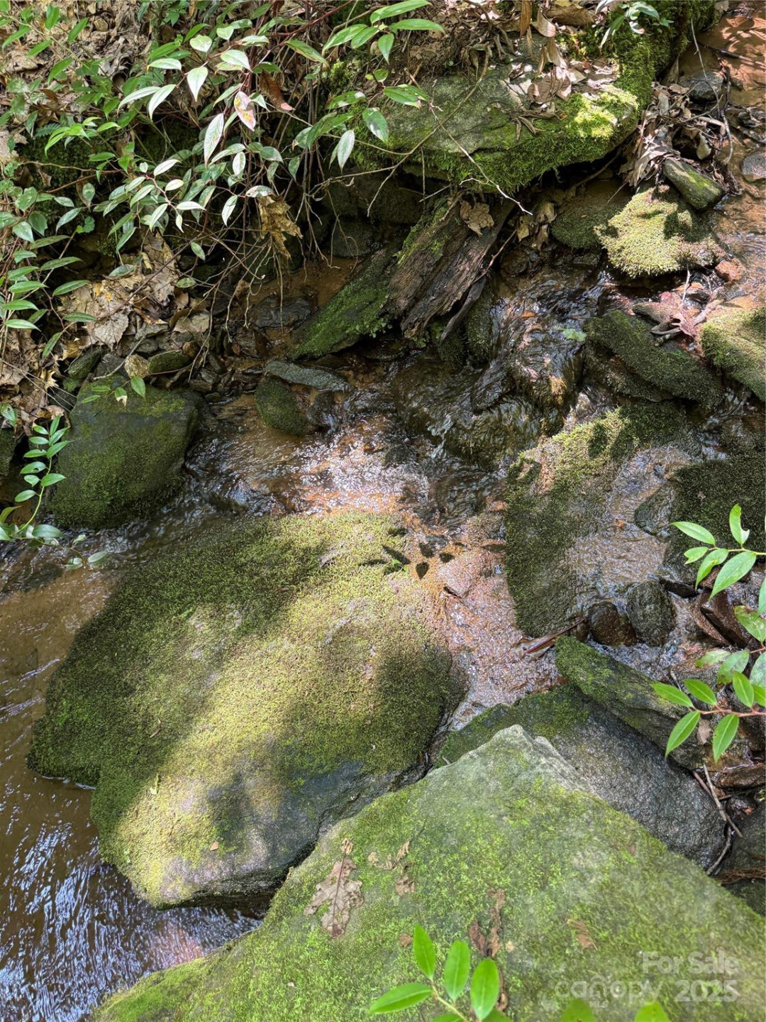 1187 Grandview Peaks Drive #187 - Photo 13