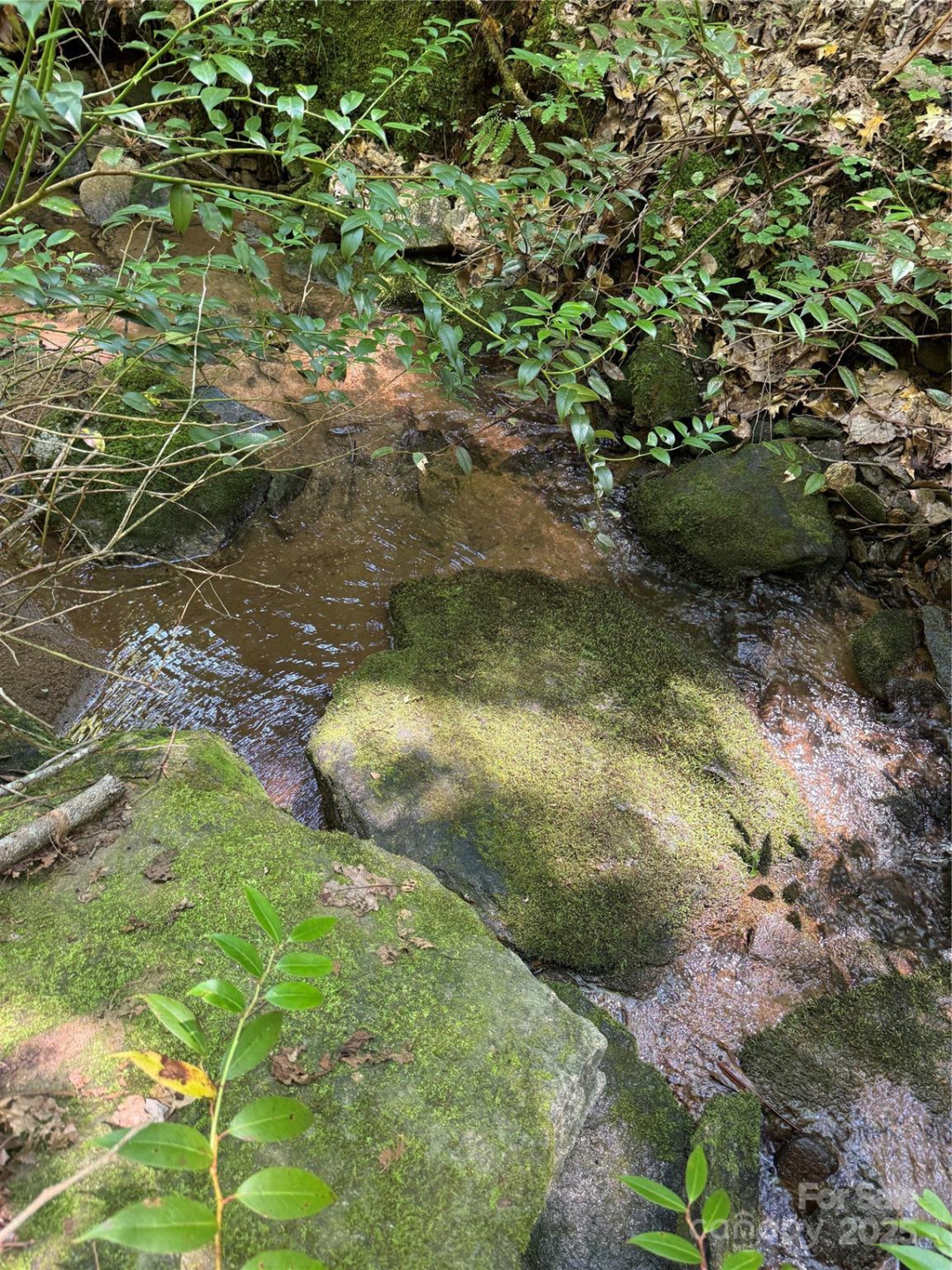 1187 Grandview Peaks Drive #187 - Photo 14