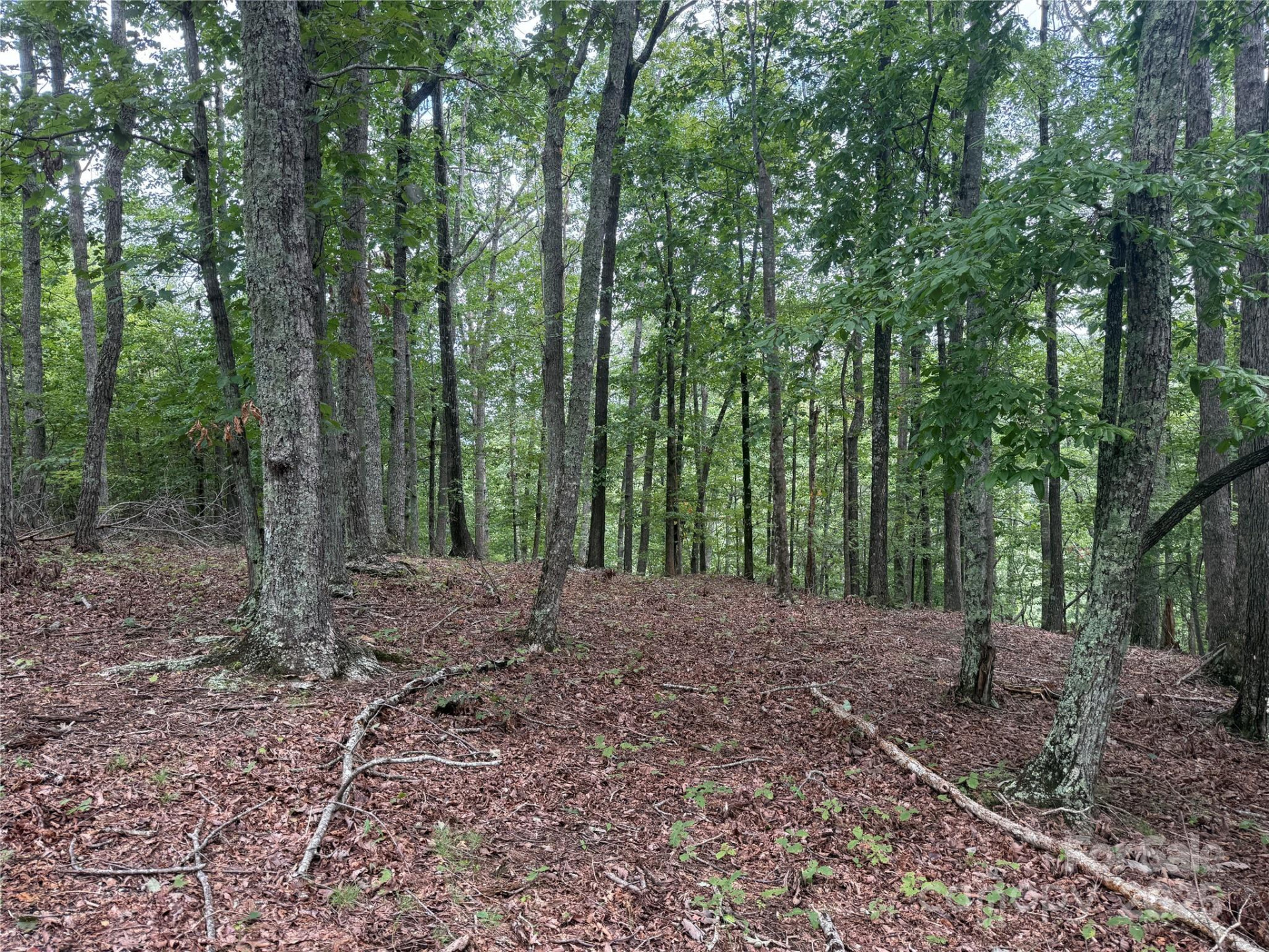 1187 Grandview Peaks Drive #187 - Photo 16