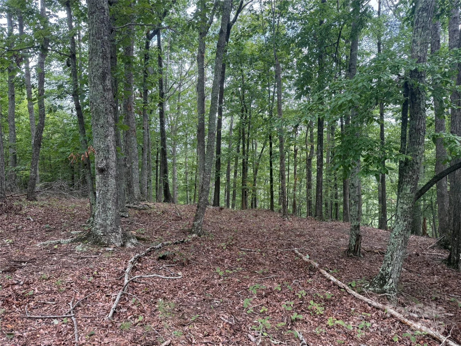 1187 Grandview Peaks Drive #187 - Photo 16