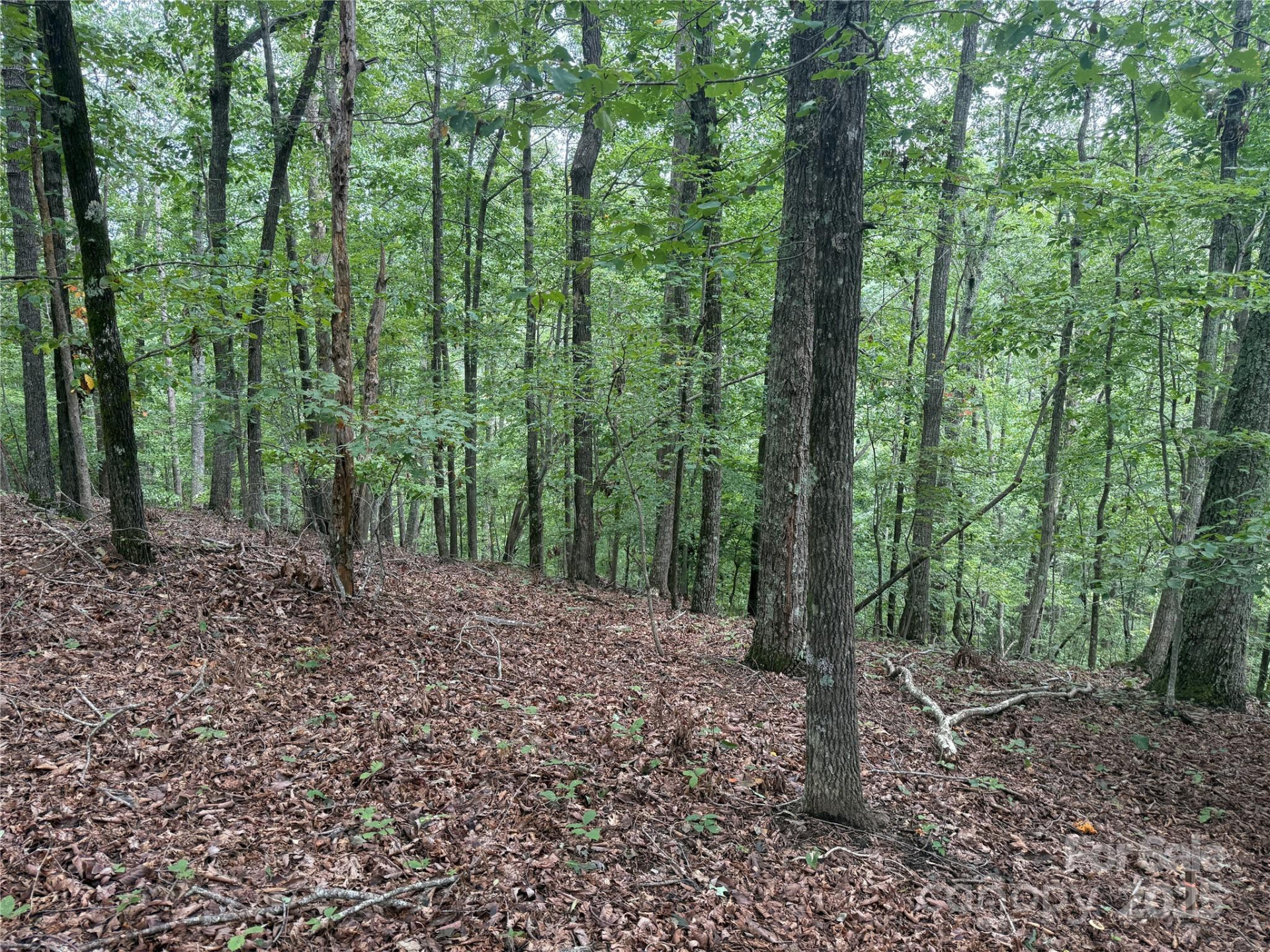 1187 Grandview Peaks Drive #187 - Photo 17