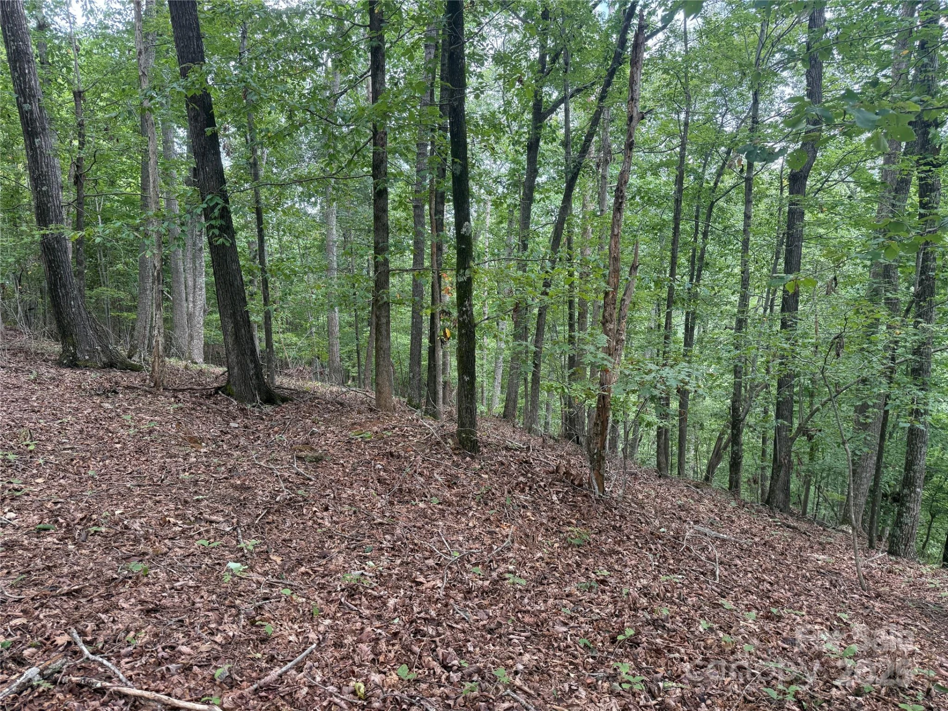 1187 Grandview Peaks Drive #187 - Photo 18