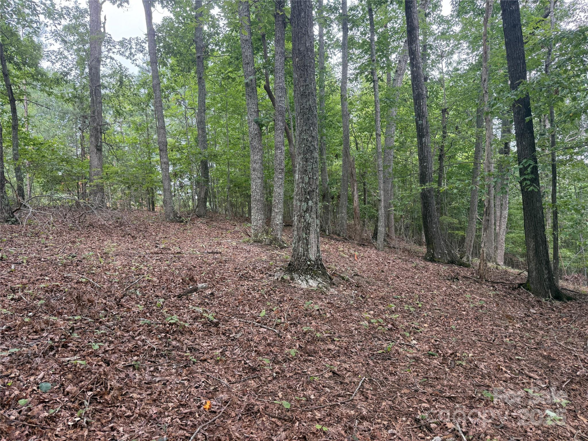 1187 Grandview Peaks Drive #187 - Photo 19