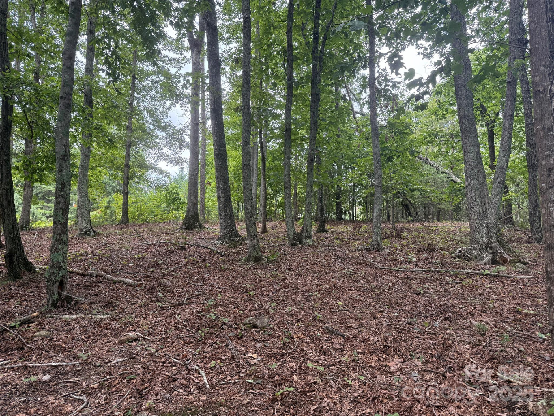 1187 Grandview Peaks Drive #187 - Photo 20