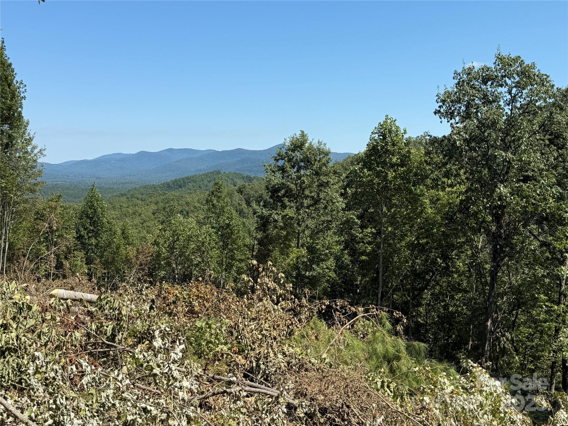 1187 Grandview Peaks Drive #187 - Photo 3