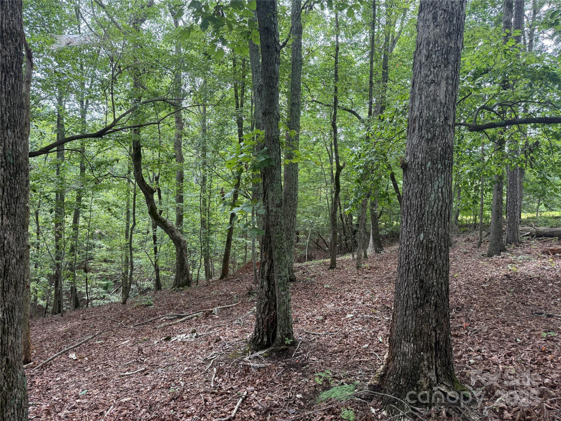 1187 Grandview Peaks Drive #187 - Photo 21