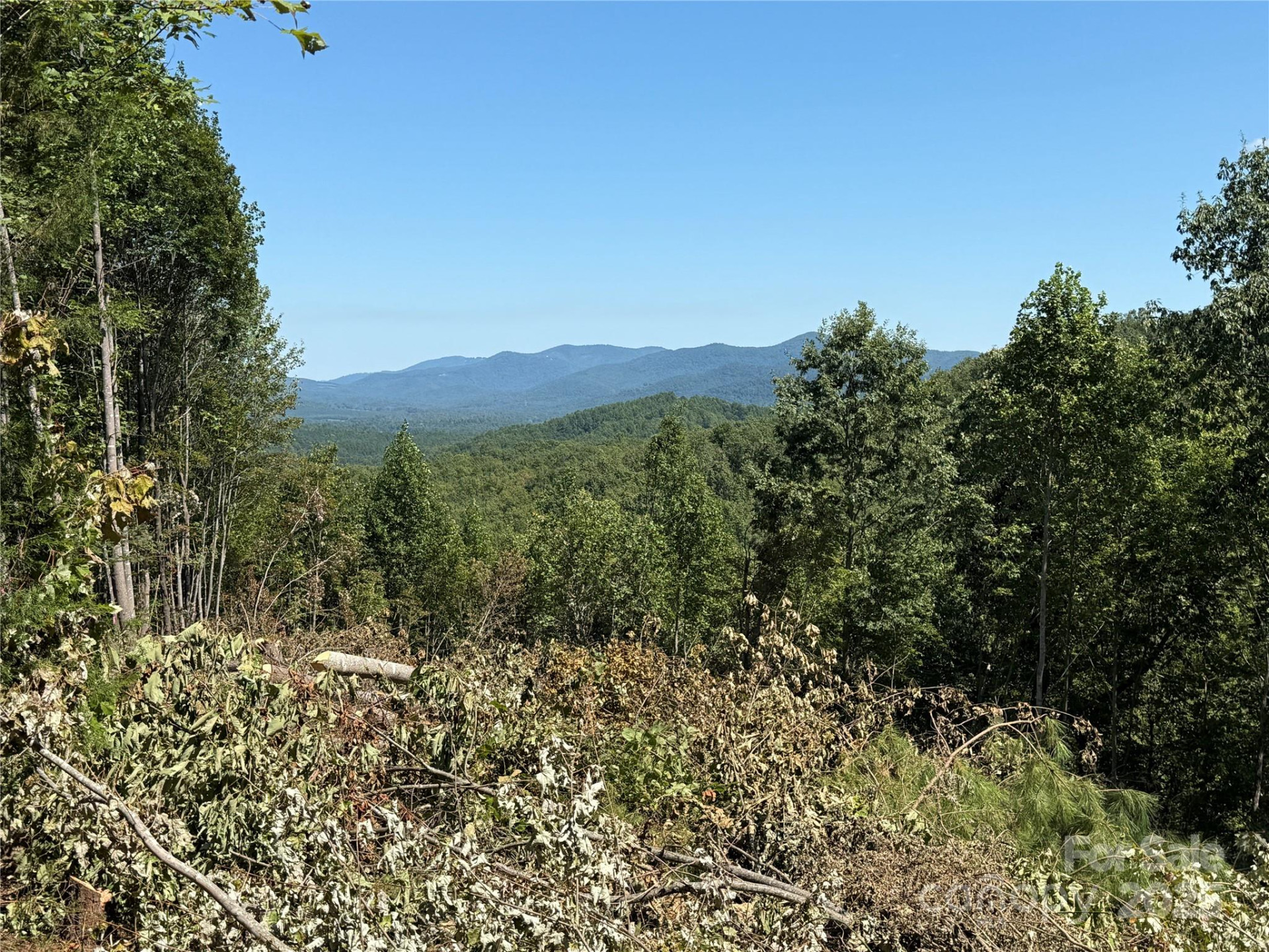 1187 Grandview Peaks Drive #187 - Photo 4