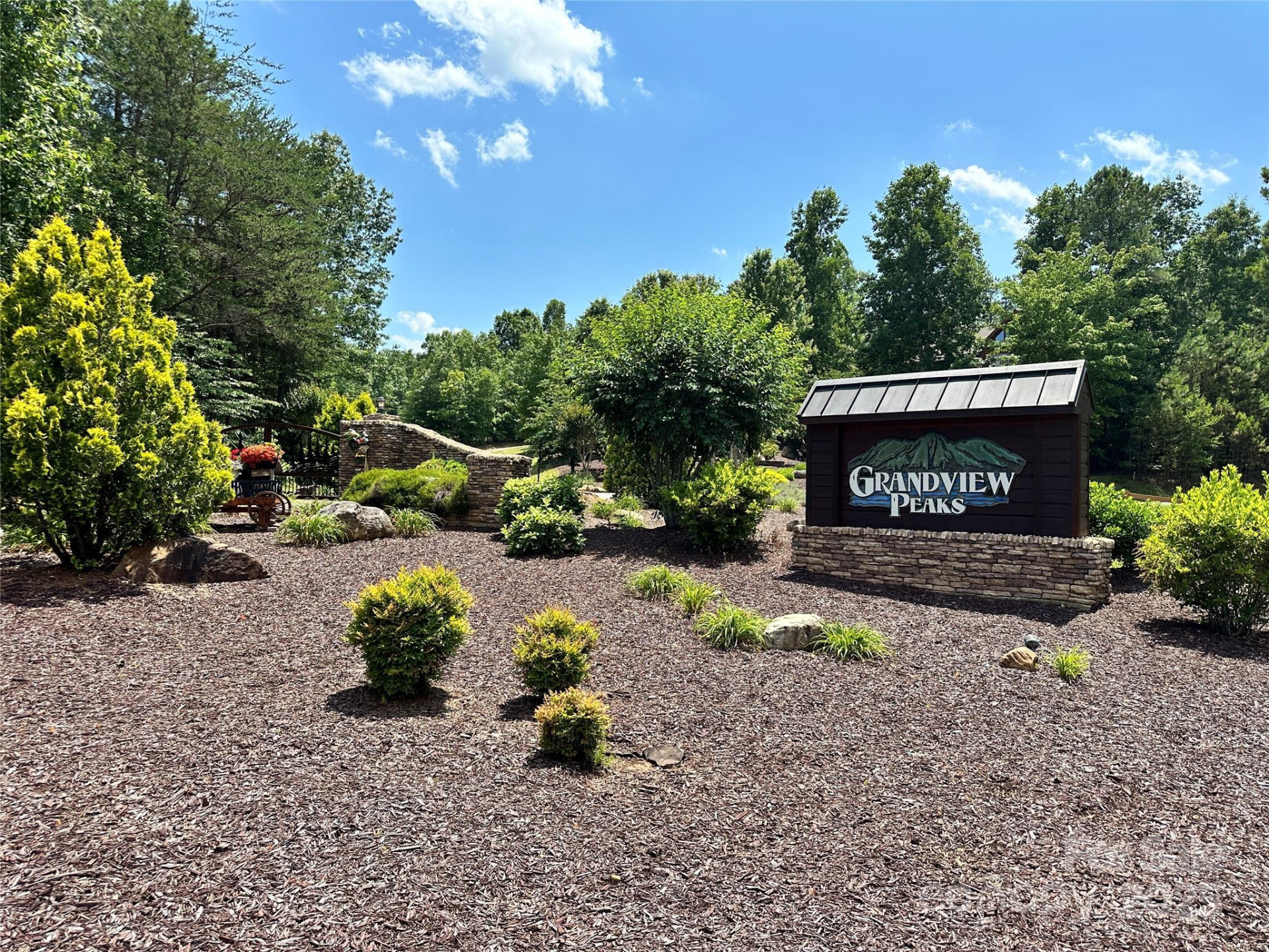 1187 Grandview Peaks Drive #187 - Photo 31