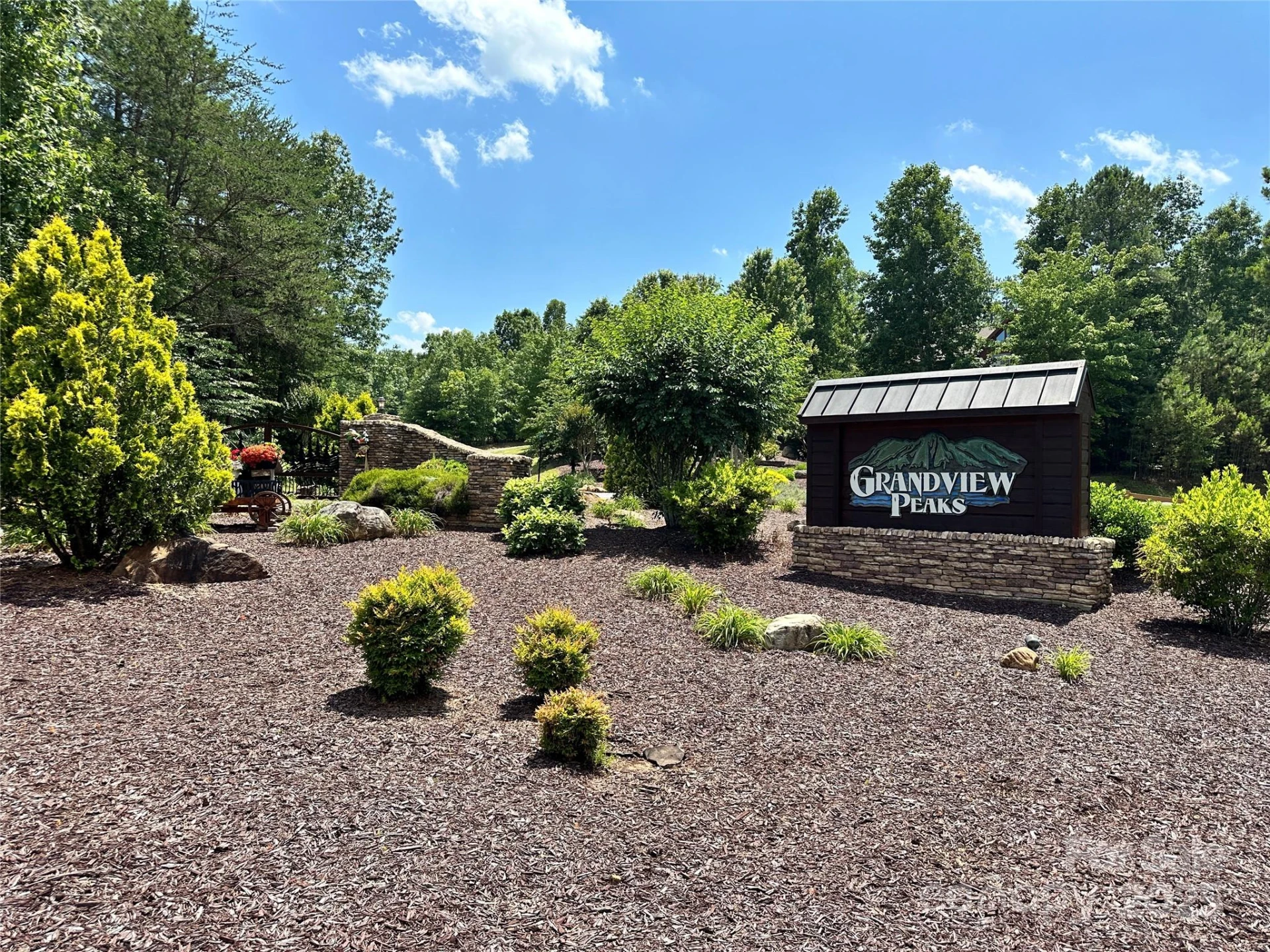 1187 Grandview Peaks Drive #187 - Photo 31