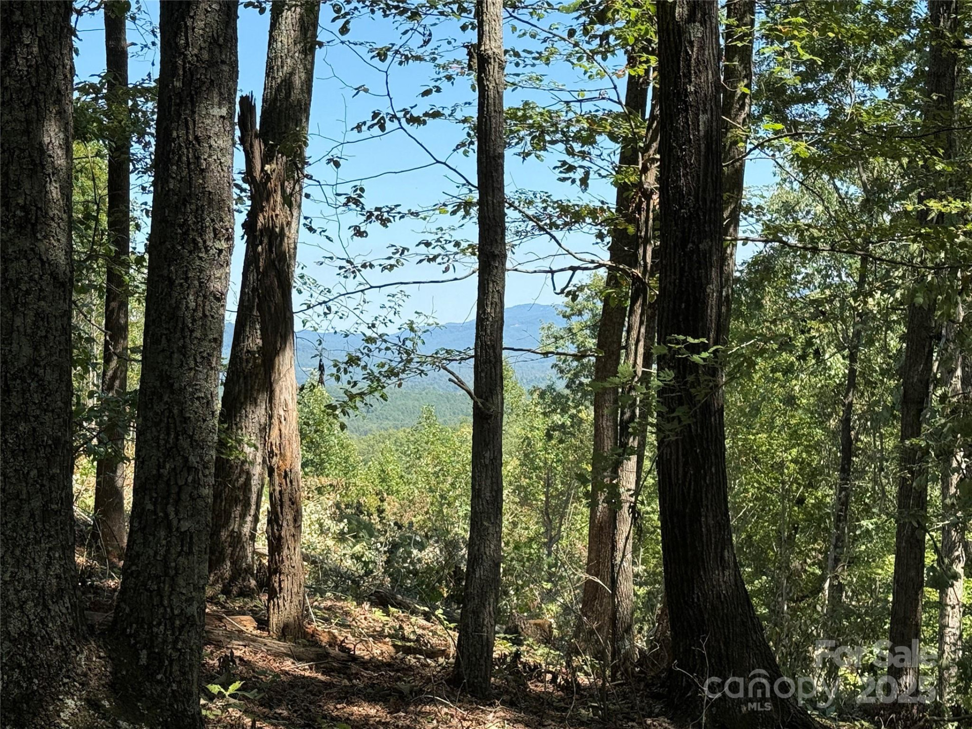 1187 Grandview Peaks Drive #187 - Photo 33