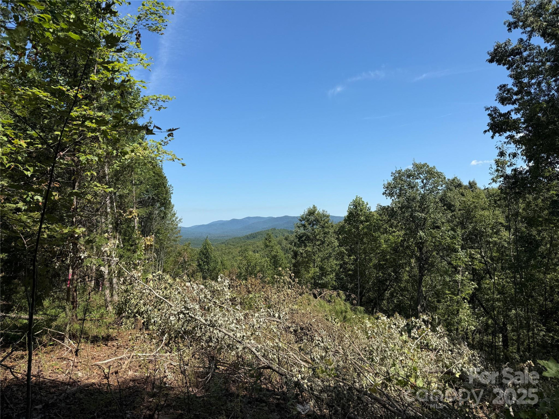 1187 Grandview Peaks Drive #187 - Photo 34