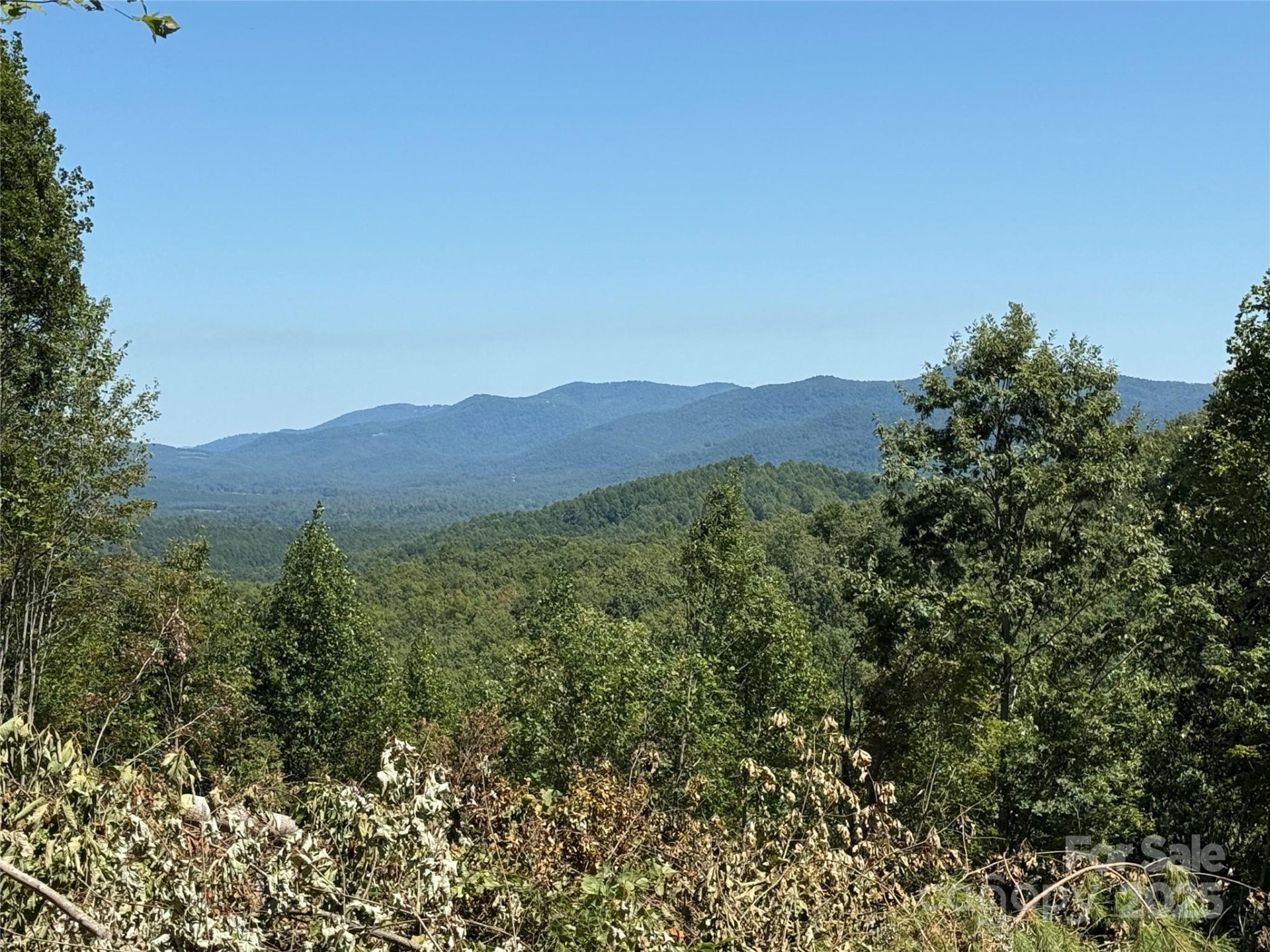 1187 Grandview Peaks Drive #187 - Photo 35