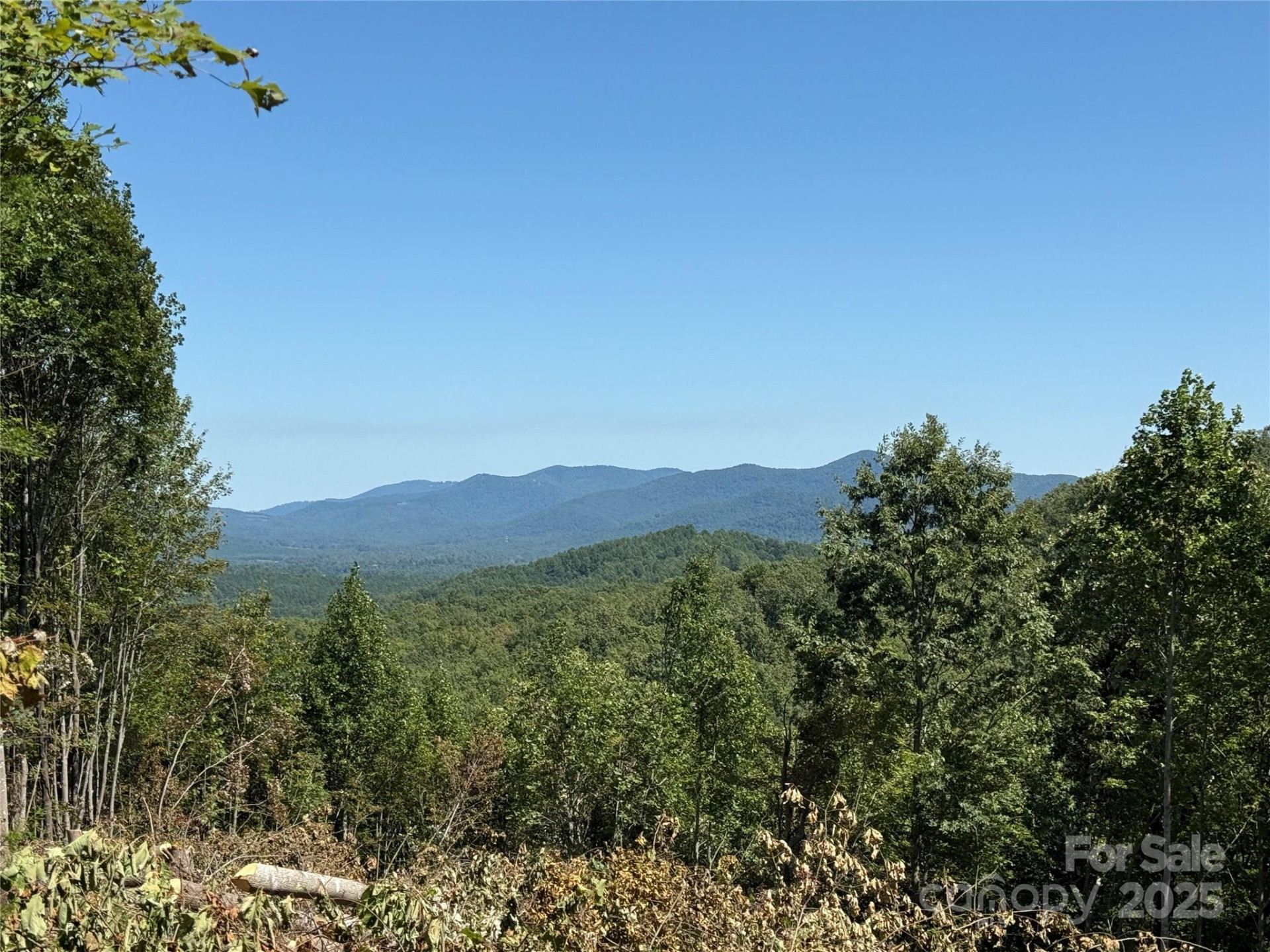 1187 Grandview Peaks Drive #187 - Photo 38