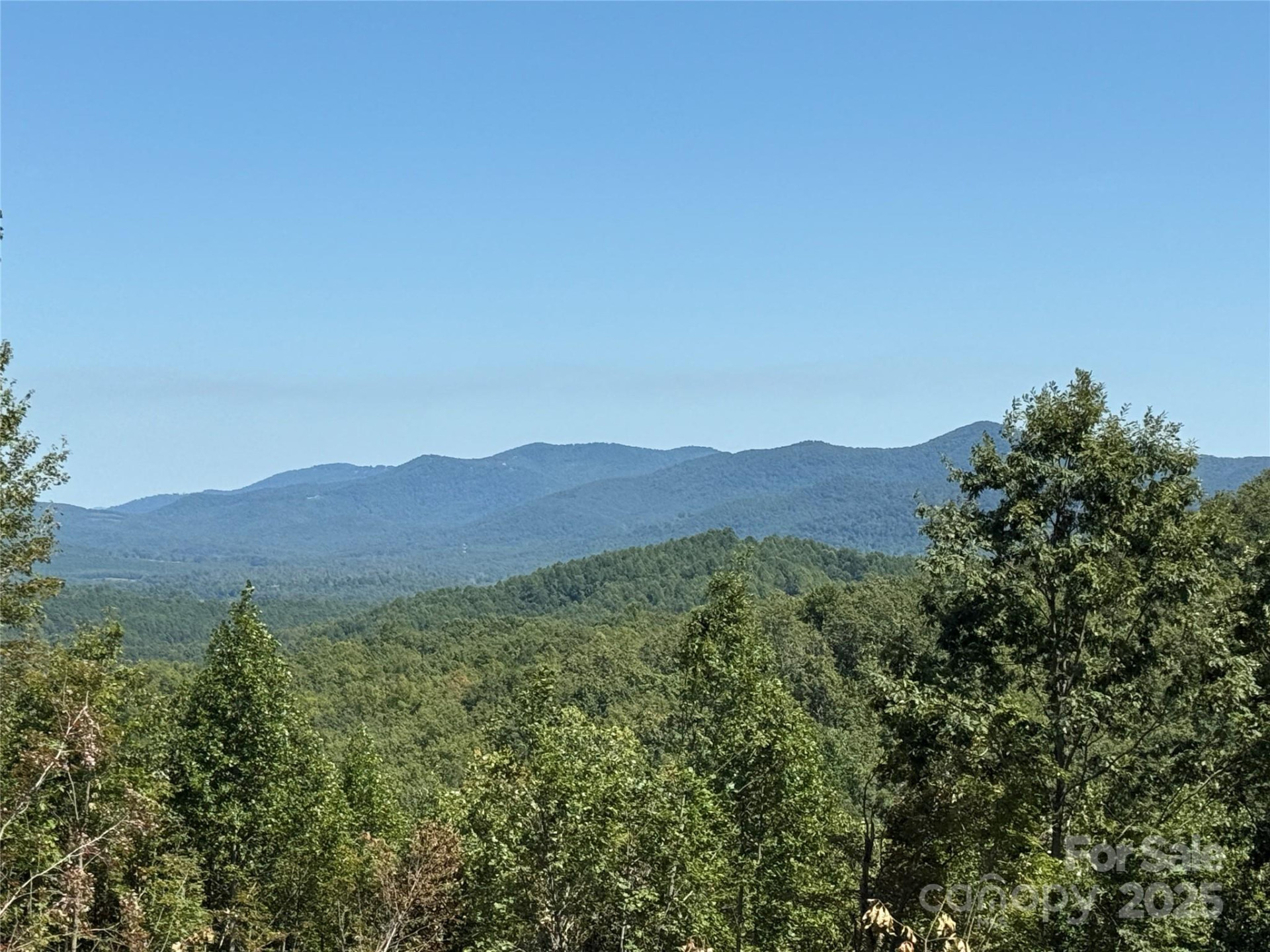 1187 Grandview Peaks Drive #187 - Photo 39