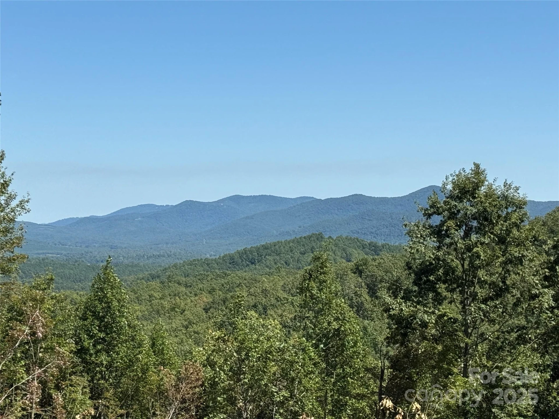 1187 Grandview Peaks Drive #187 - Photo 39