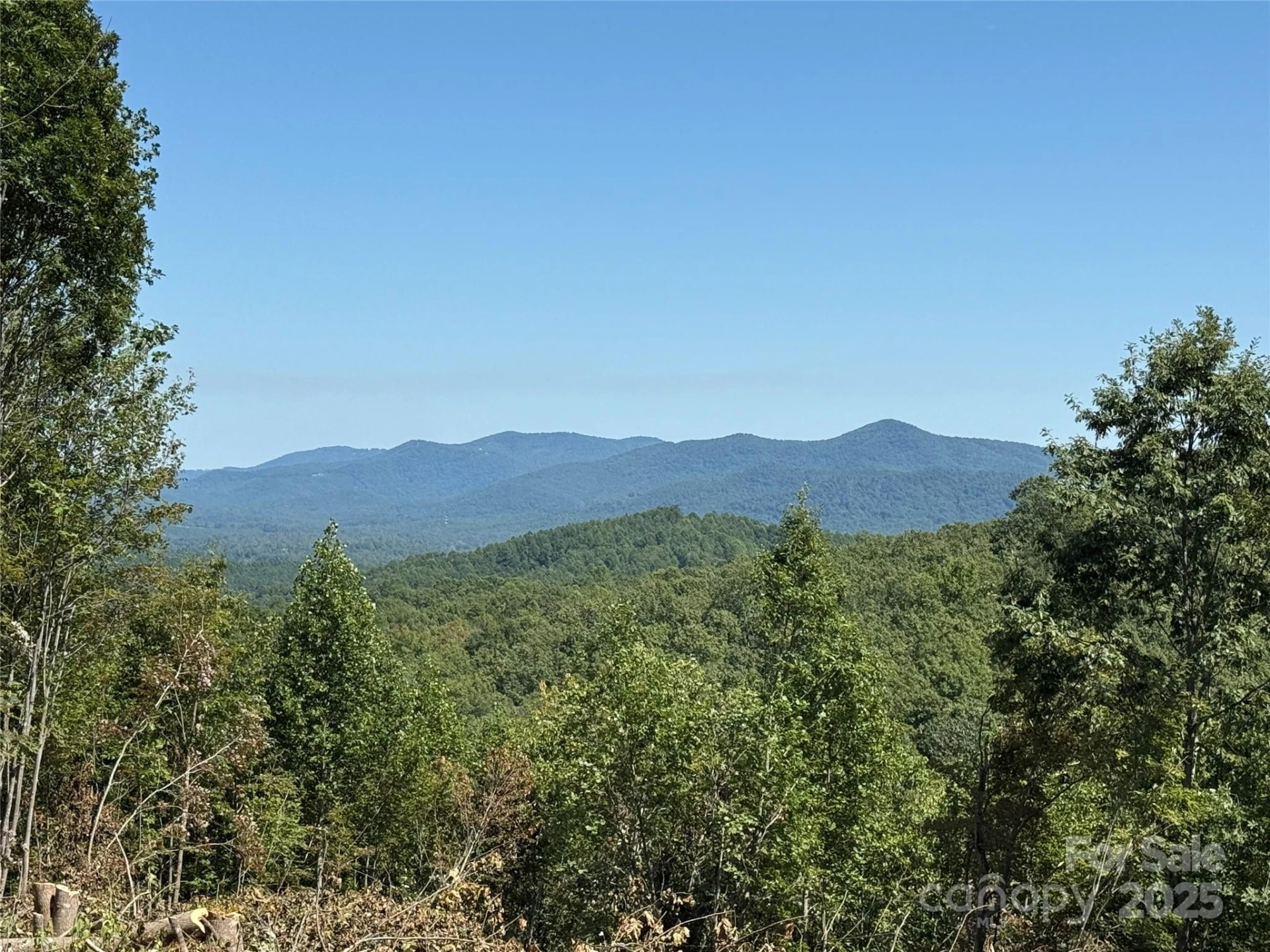 1187 Grandview Peaks Drive #187 - Photo 5