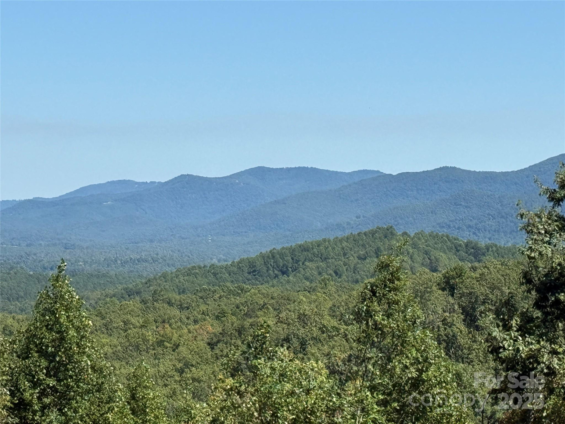 1187 Grandview Peaks Drive #187 - Photo 6