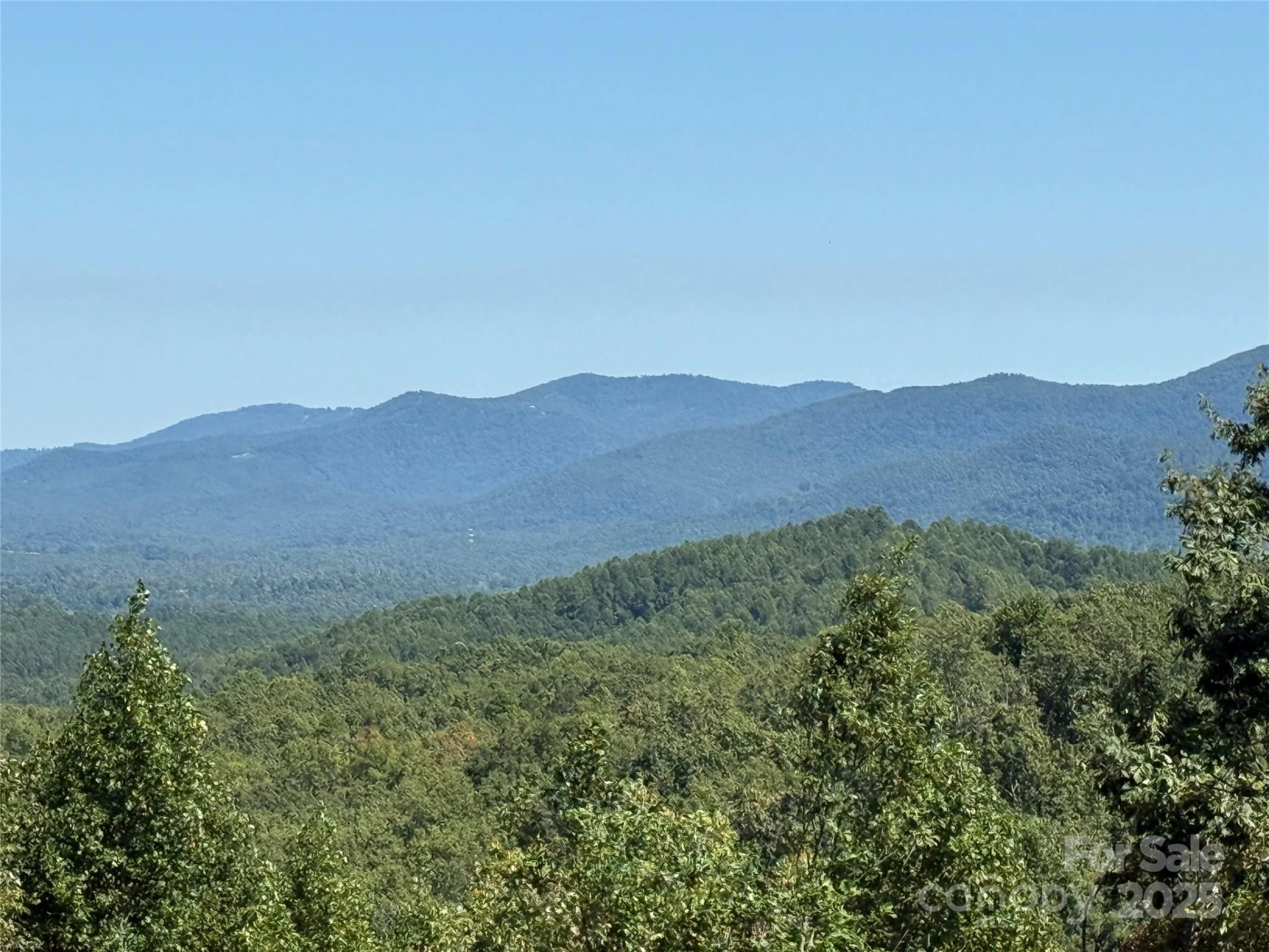 1187 Grandview Peaks Drive #187 - Photo 6