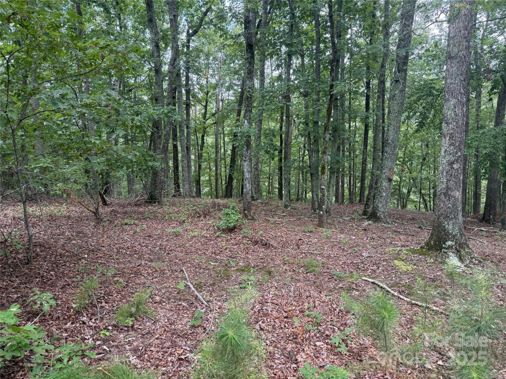 1187 Grandview Peaks Drive #187 - Photo 7