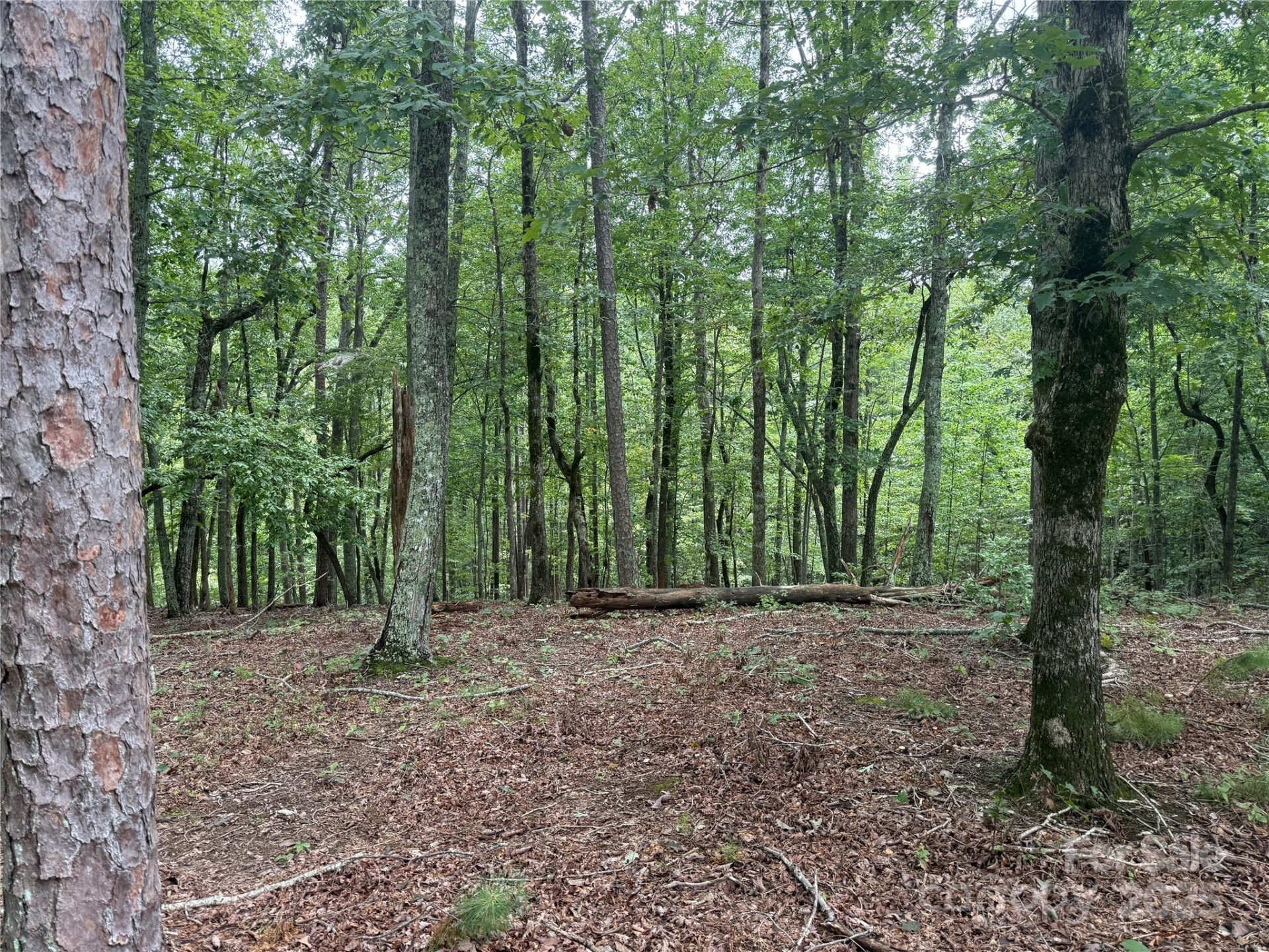 1187 Grandview Peaks Drive #187 - Photo 8