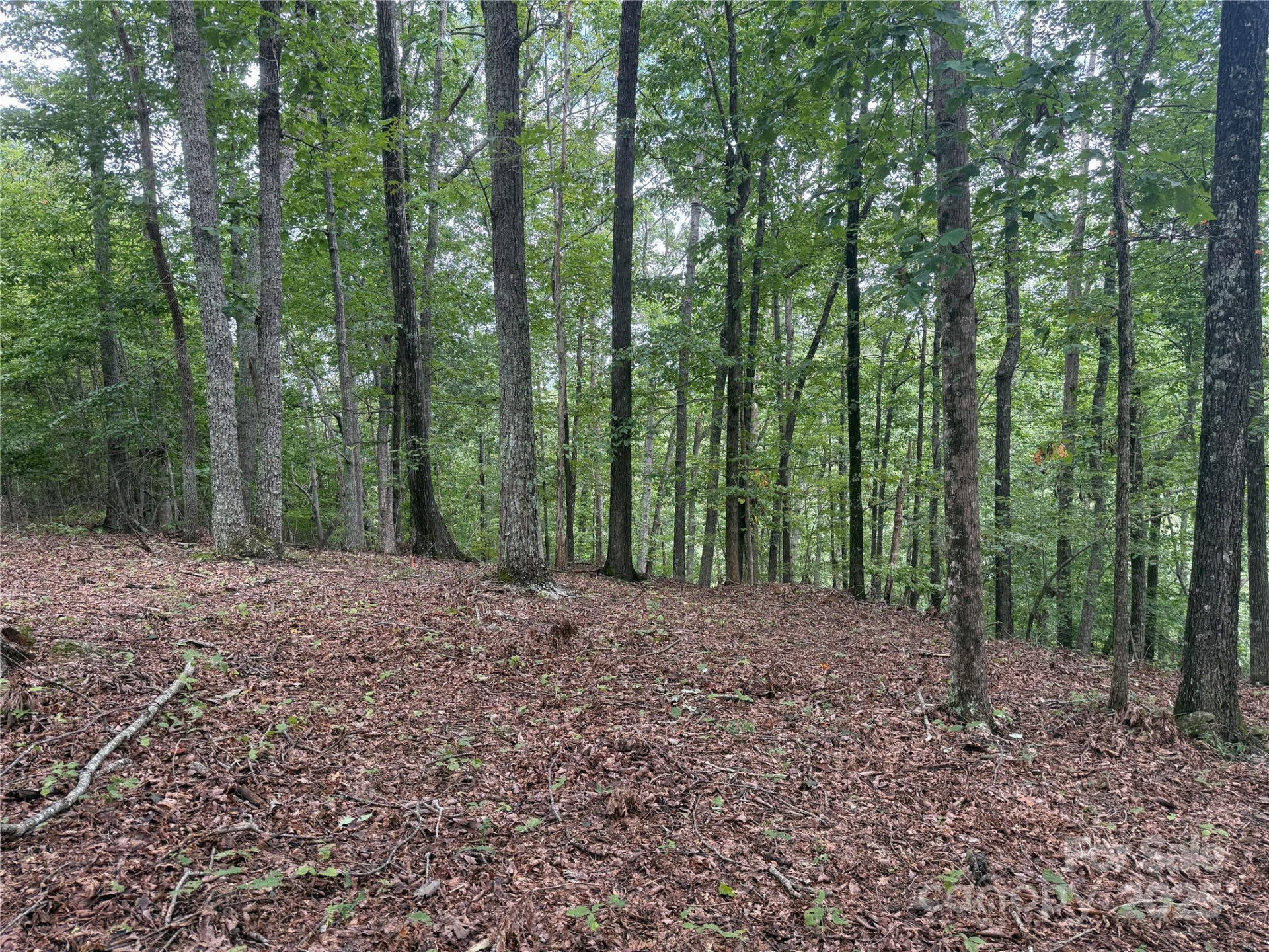 1187 Grandview Peaks Drive #187 - Photo 9