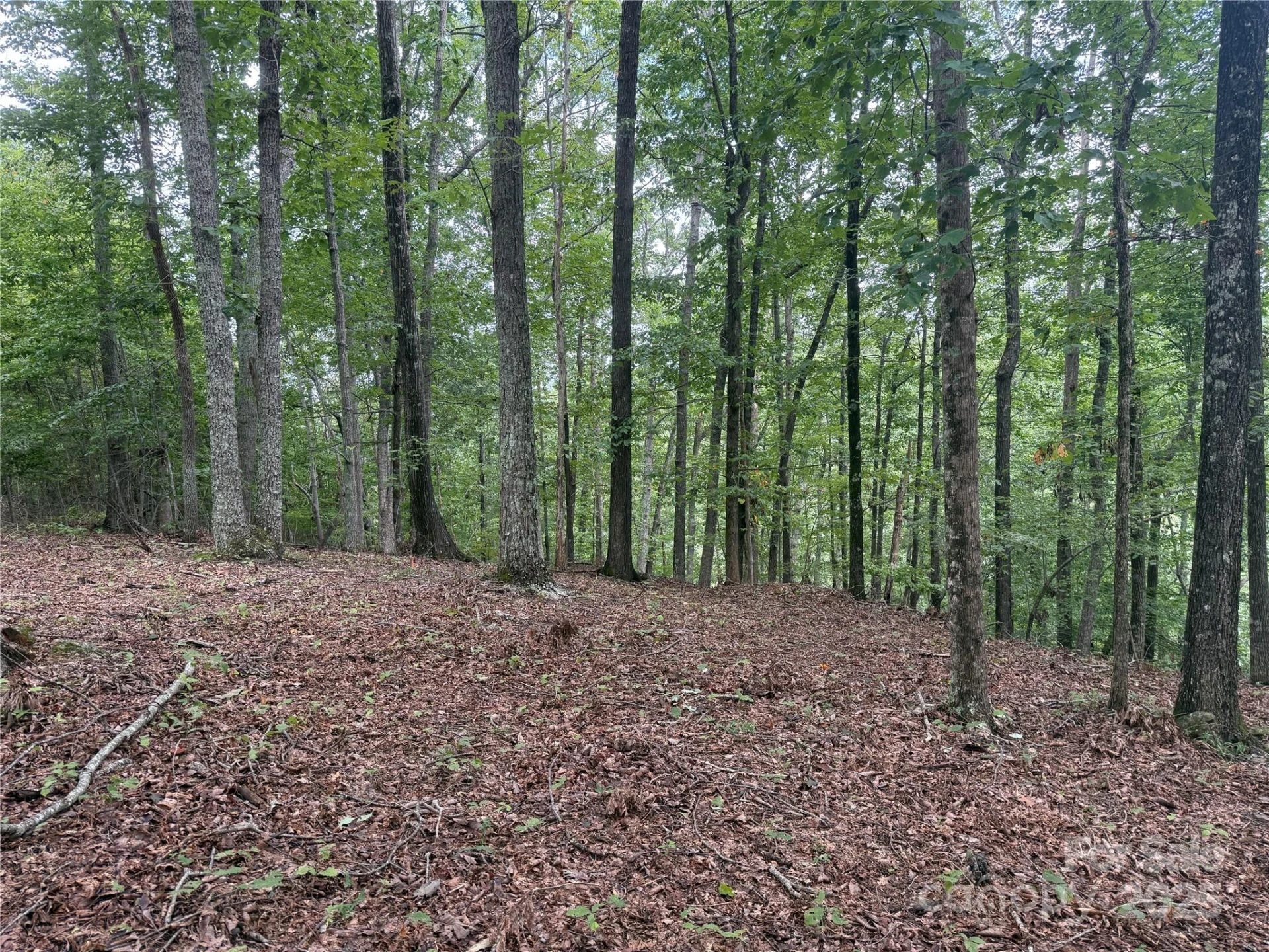 1187 Grandview Peaks Drive #187 - Photo 9