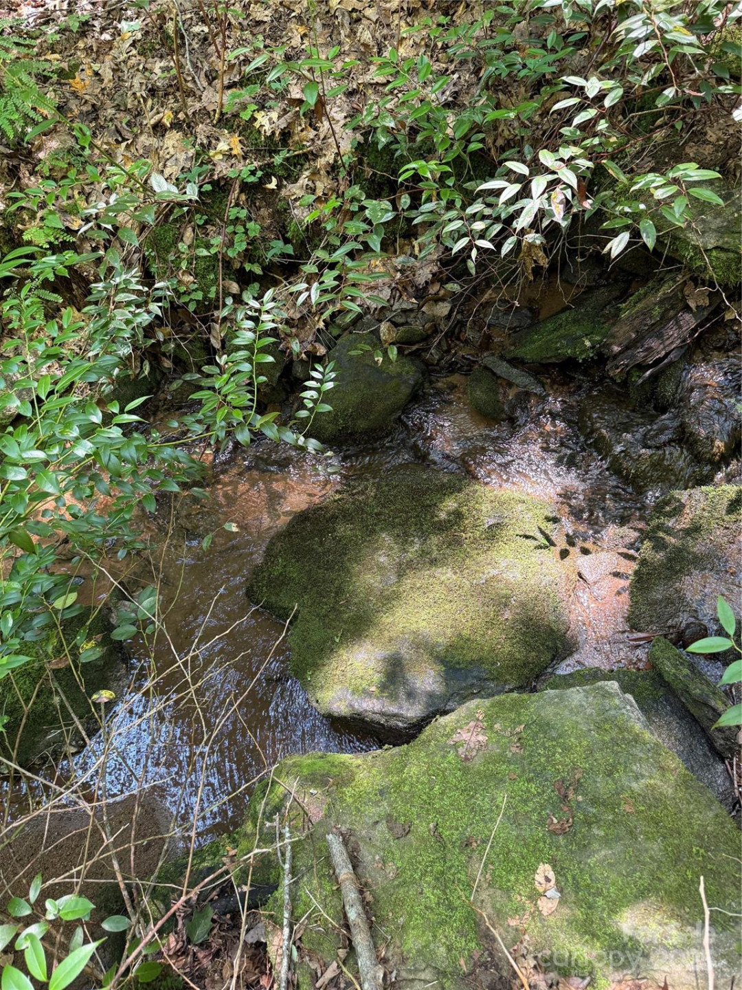 1187 Grandview Peaks Drive #187 - Photo 10