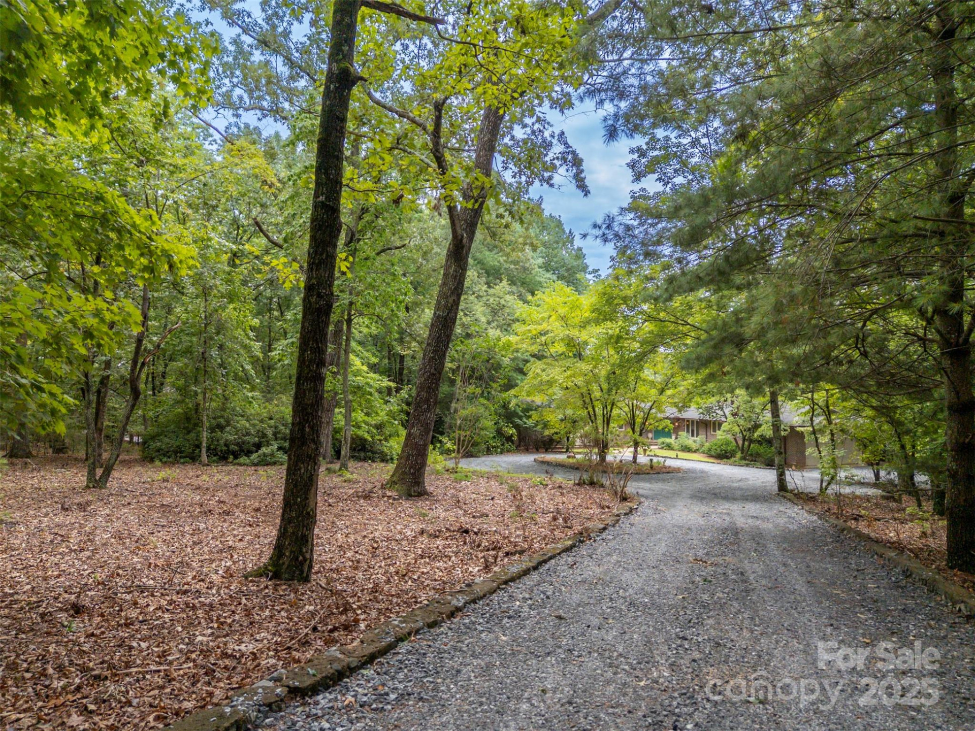 106 Blue Bird Lane - Photo 3