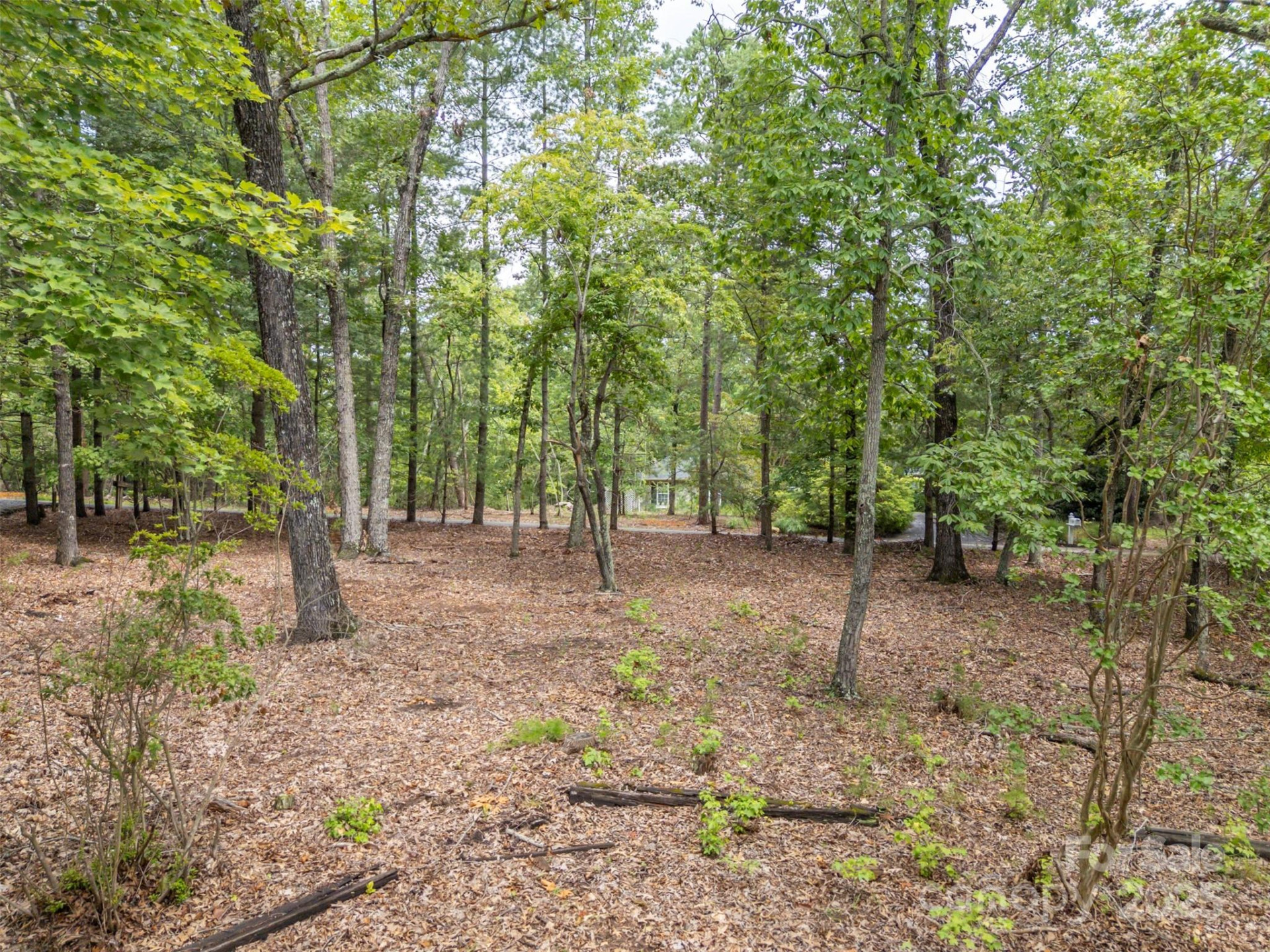 106 Blue Bird Lane - Photo 24