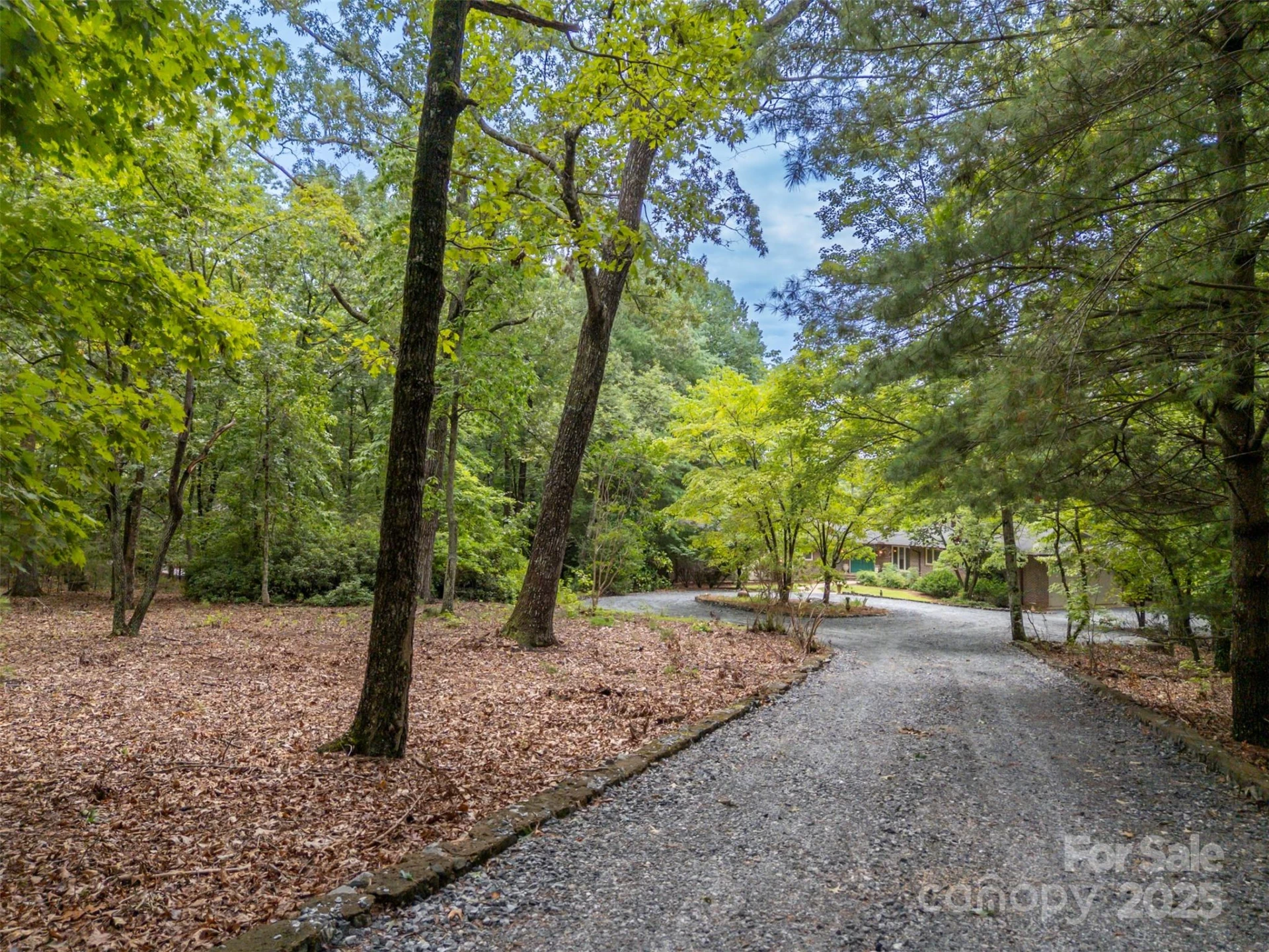 106 Blue Bird Lane - Photo 29