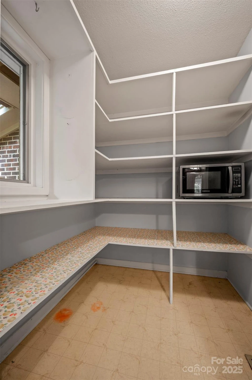 106 Blue Bird Lane - Photo 8