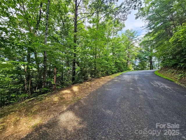 TBD Rumbling Bald Road