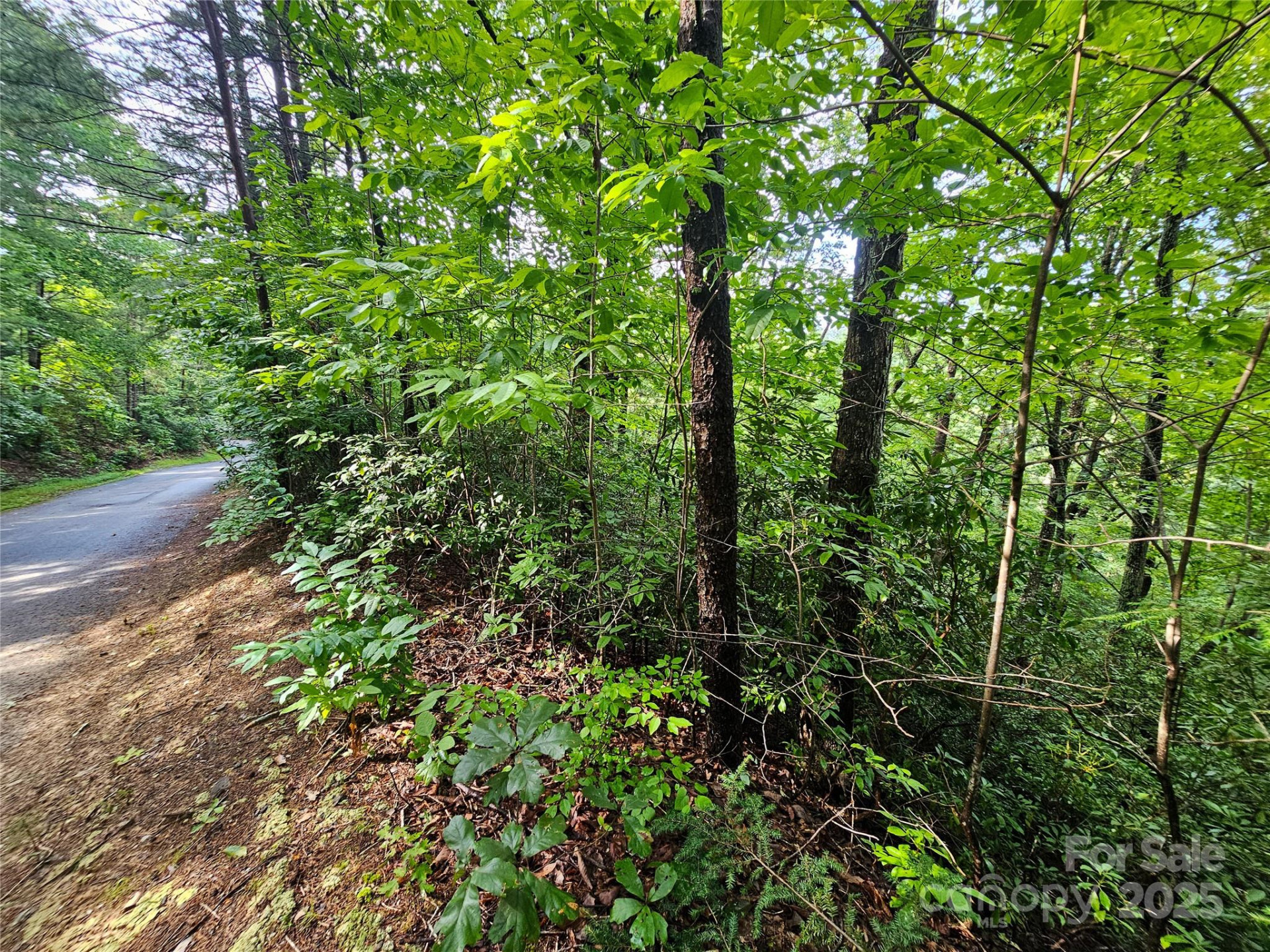 TBD Rumbling Bald Road #15 - Photo 13