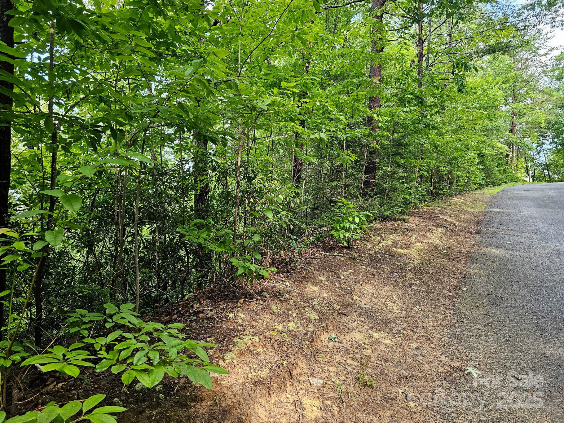TBD Rumbling Bald Road #15 - Photo 14