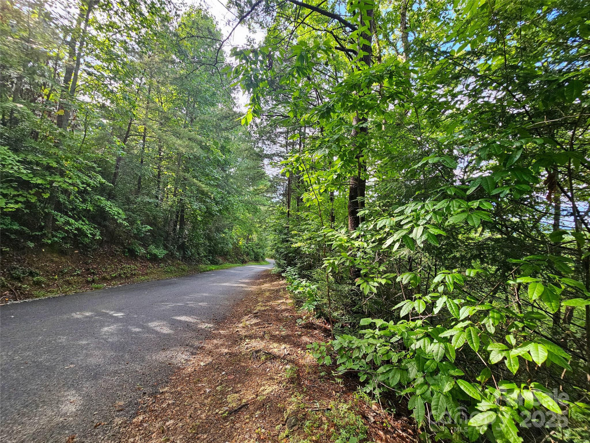 TBD Rumbling Bald Road #15 - Photo 18