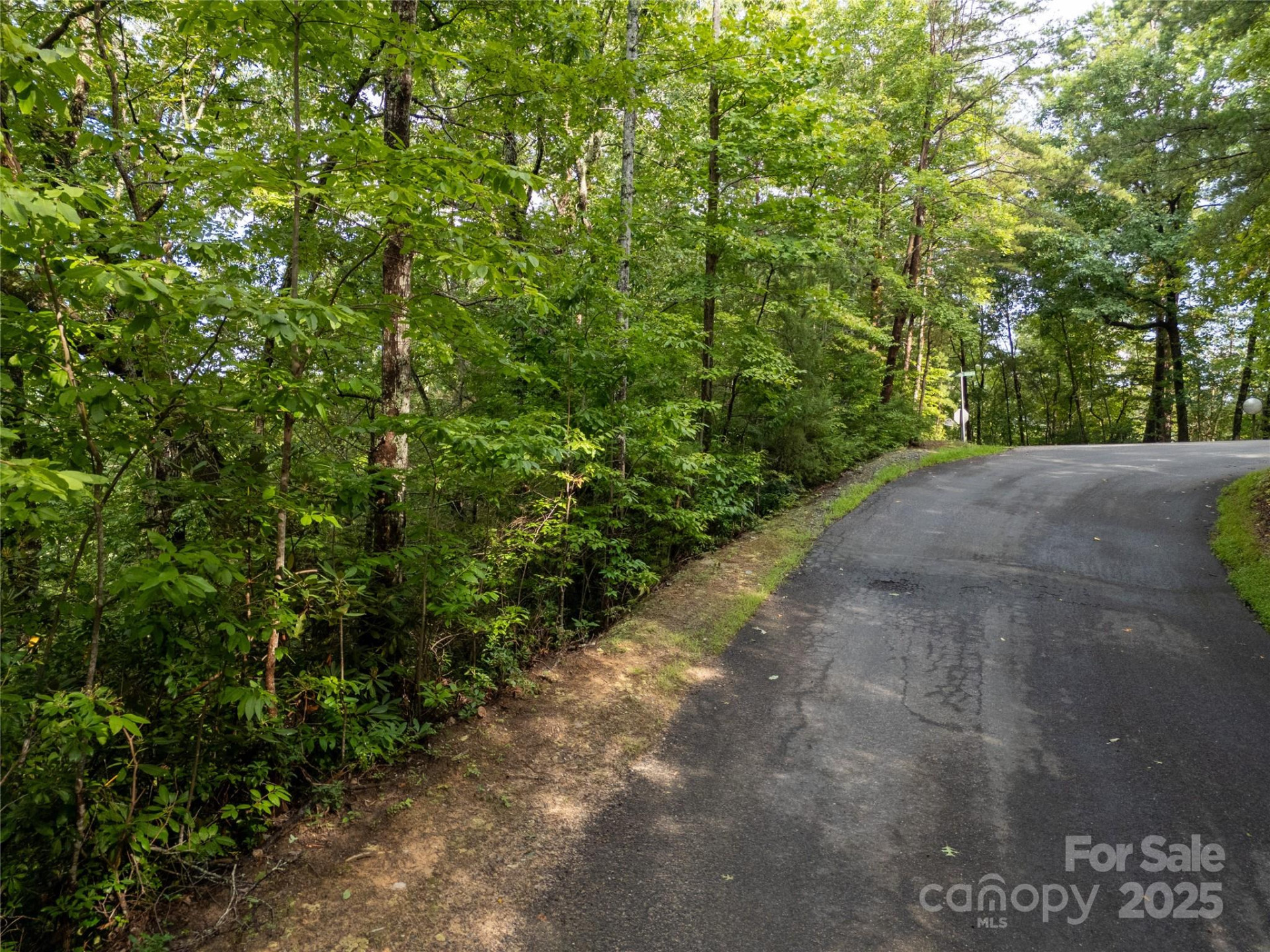 TBD Rumbling Bald Road #15 - Photo 20