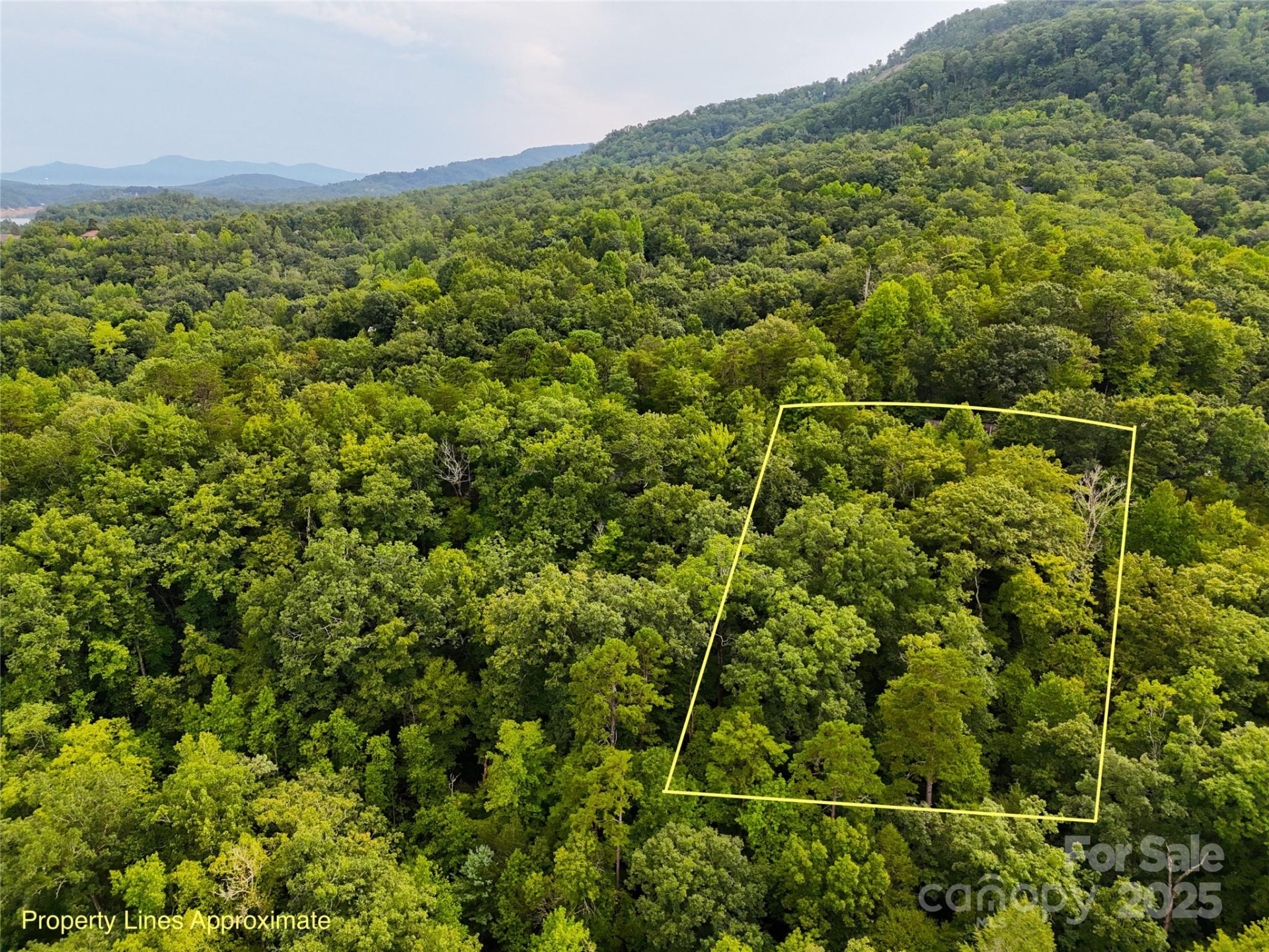 TBD Rumbling Bald Road #15 - Photo 3