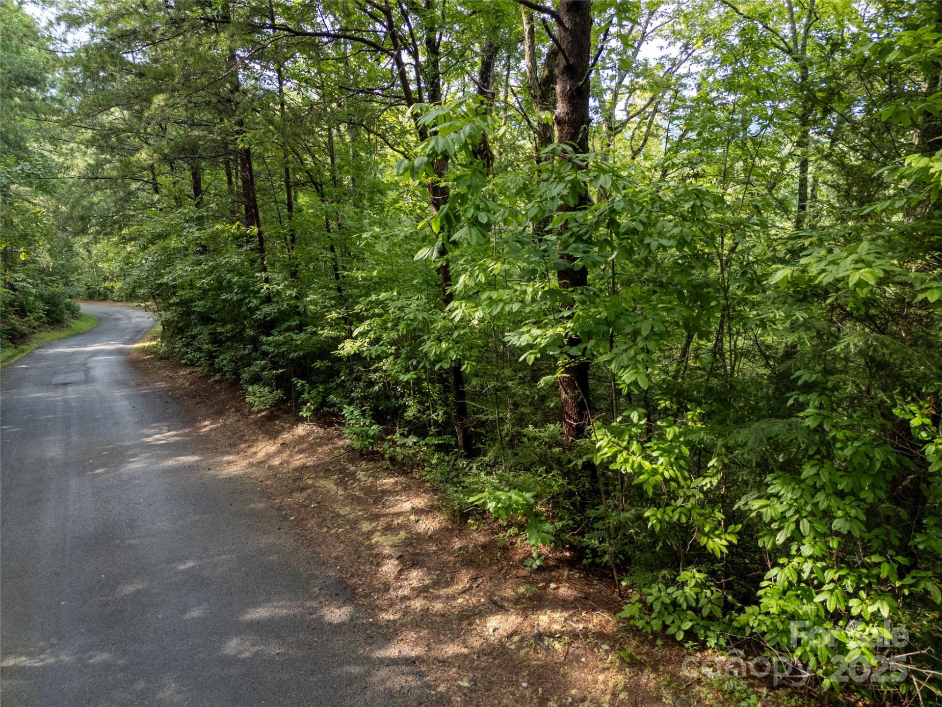 TBD Rumbling Bald Road #15 - Photo 21