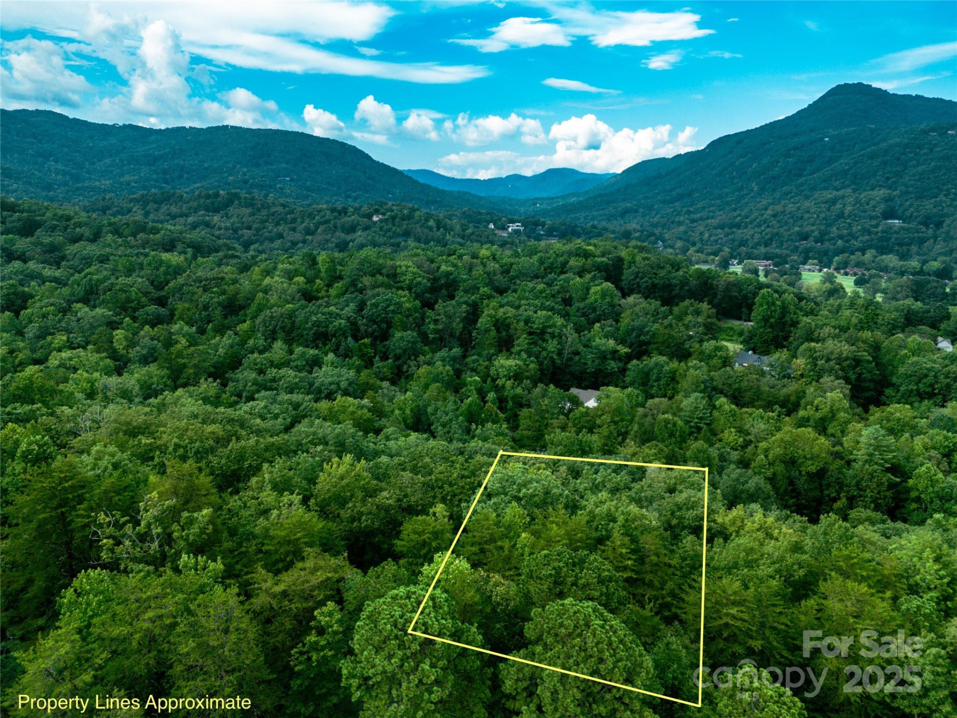 TBD Rumbling Bald Road #15 - Photo 7