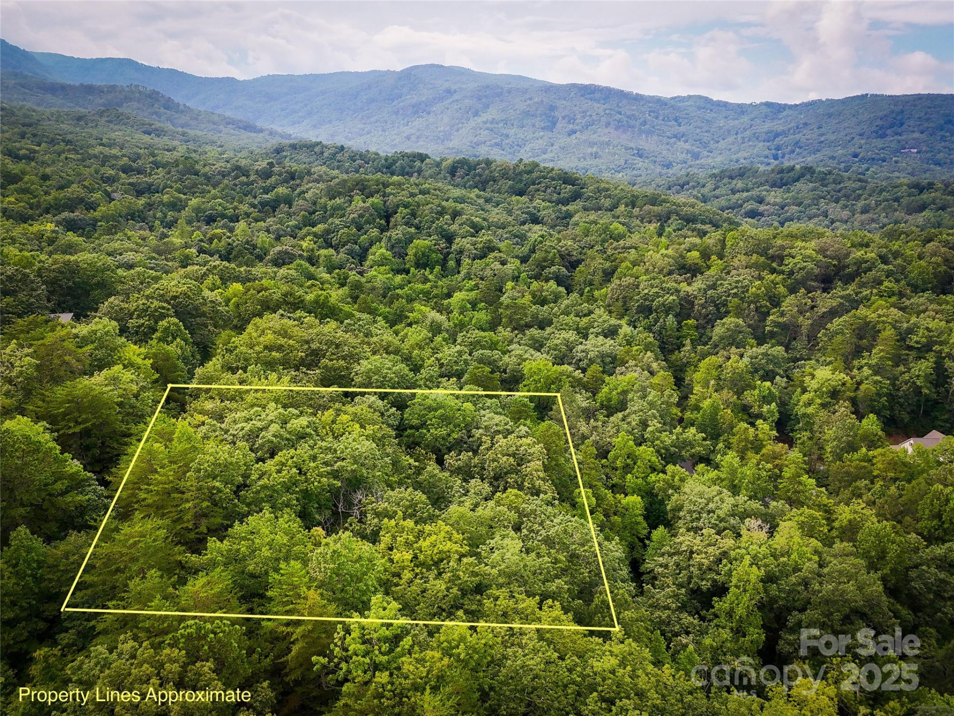 TBD Rumbling Bald Road #15 - Photo 8