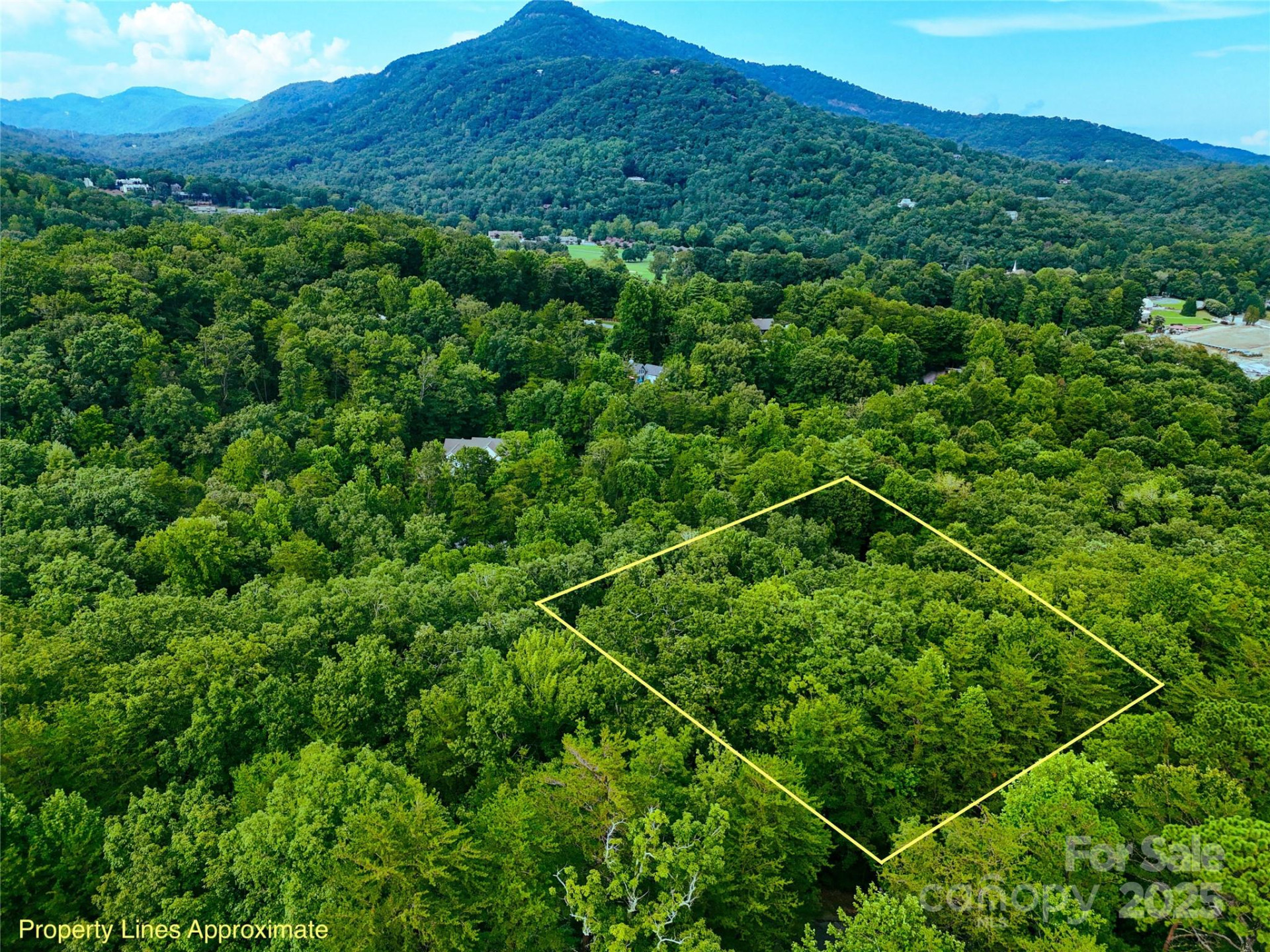 TBD Rumbling Bald Road #15 - Photo 9