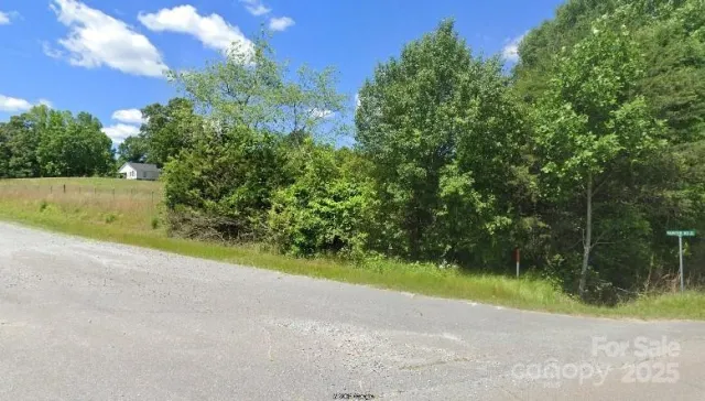 Lot 5 Painter Road, Mooresboro, NC, 28114