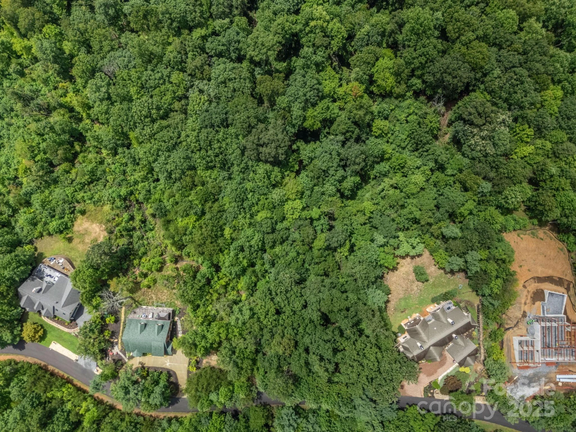 Lot 21 Hawks Nest Trail - Photo 3