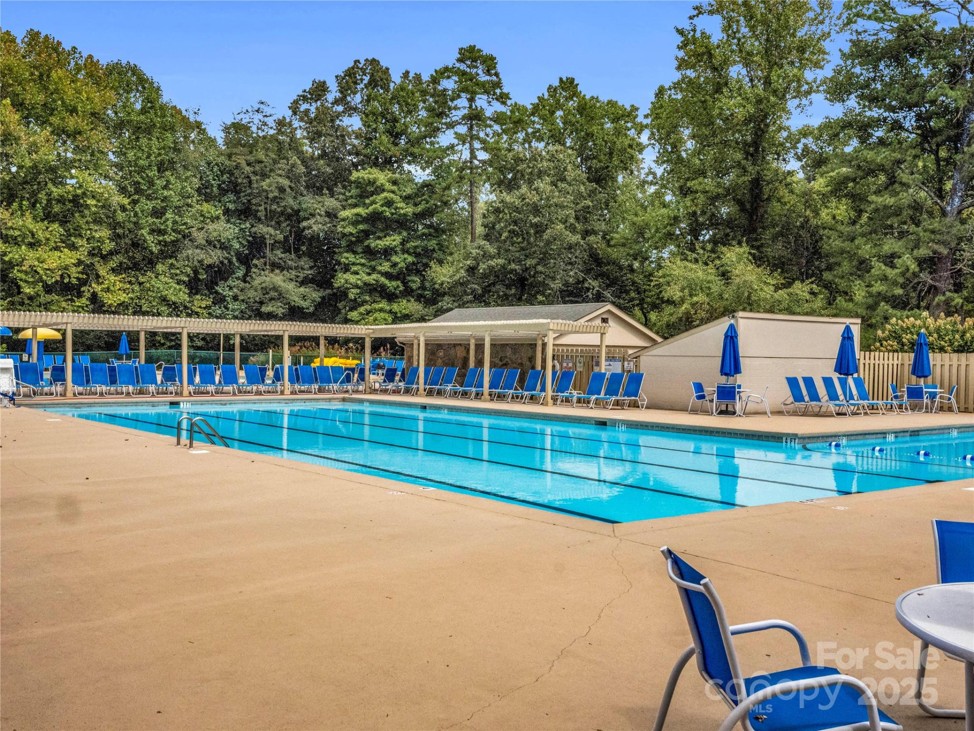 Lot 21 Hawks Nest Trail - Photo 23