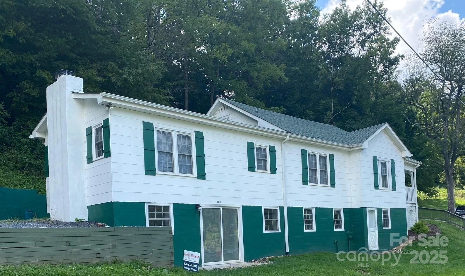 1294 Cane Creek Road - Photo 4