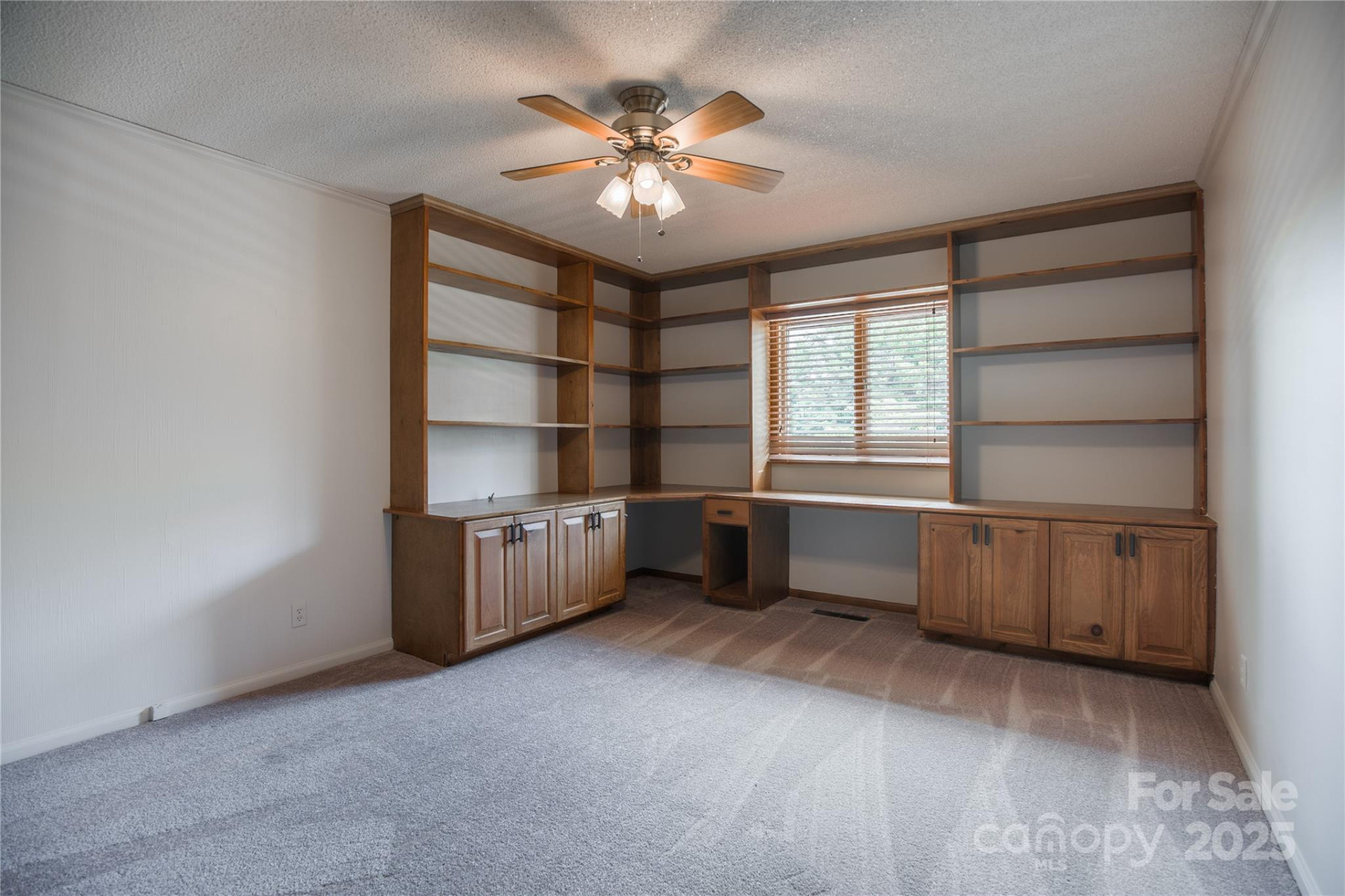 334 Case Street - Photo 12