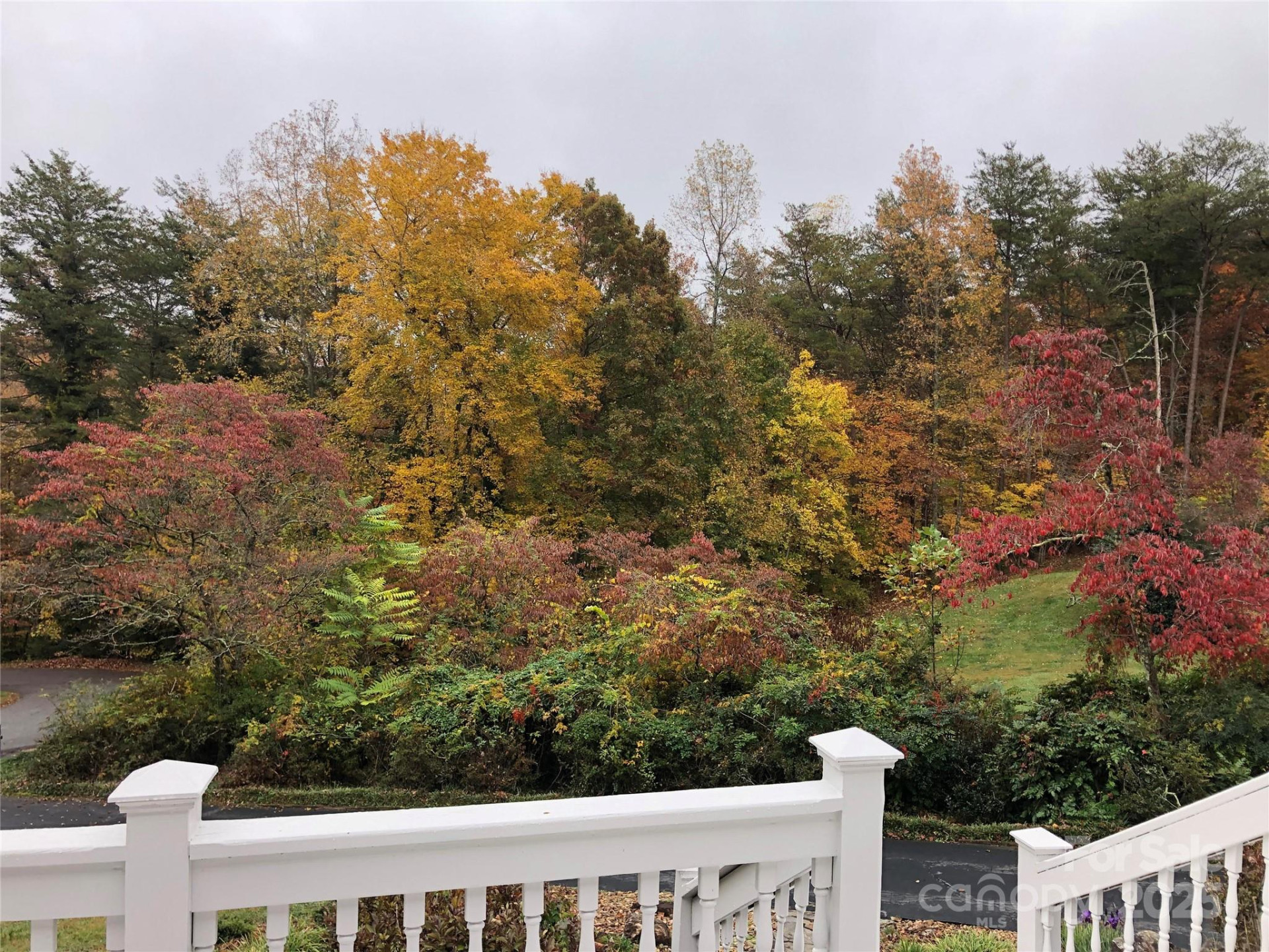 334 Case Street - Photo 3